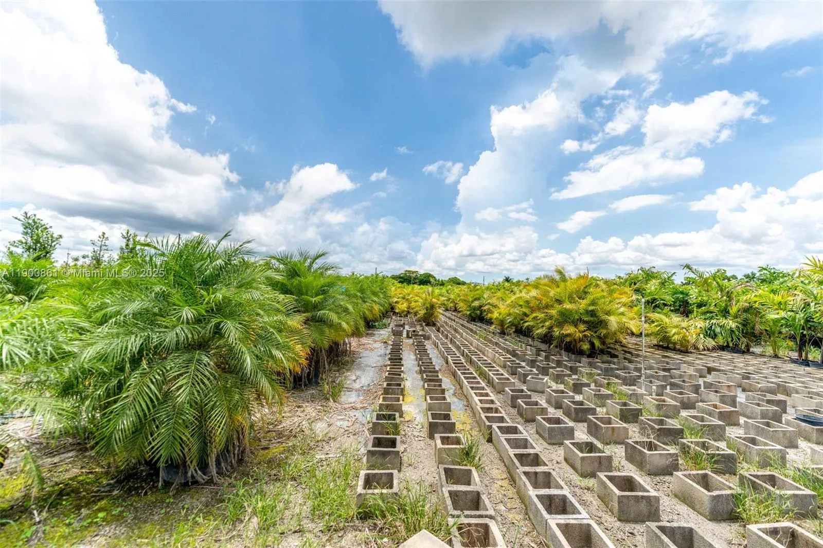 19000 Sw Krome Aka 177 Ave, Miami, Florida 33187, Miami, Florida 33187, ,Commercial Sale,For Sale,19000 Sw Krome Aka 177 Ave, Miami, Florida 33187,A11900861