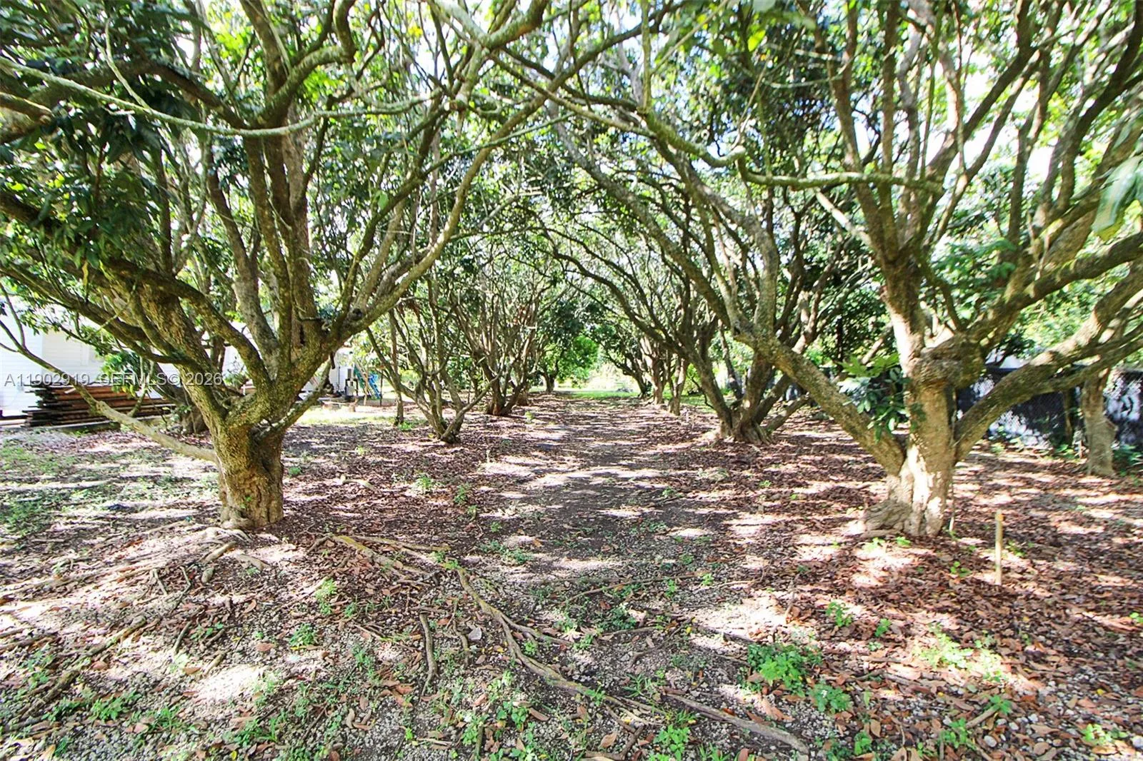 37225 Sw 214th Ave, Homestead, Florida 33034, Homestead, Florida 33034, 3 Bedrooms Bedrooms, ,2 BathroomsBathrooms,Residential Lease,For Rent,37225 Sw 214th Ave, Homestead, Florida 33034,A11902919