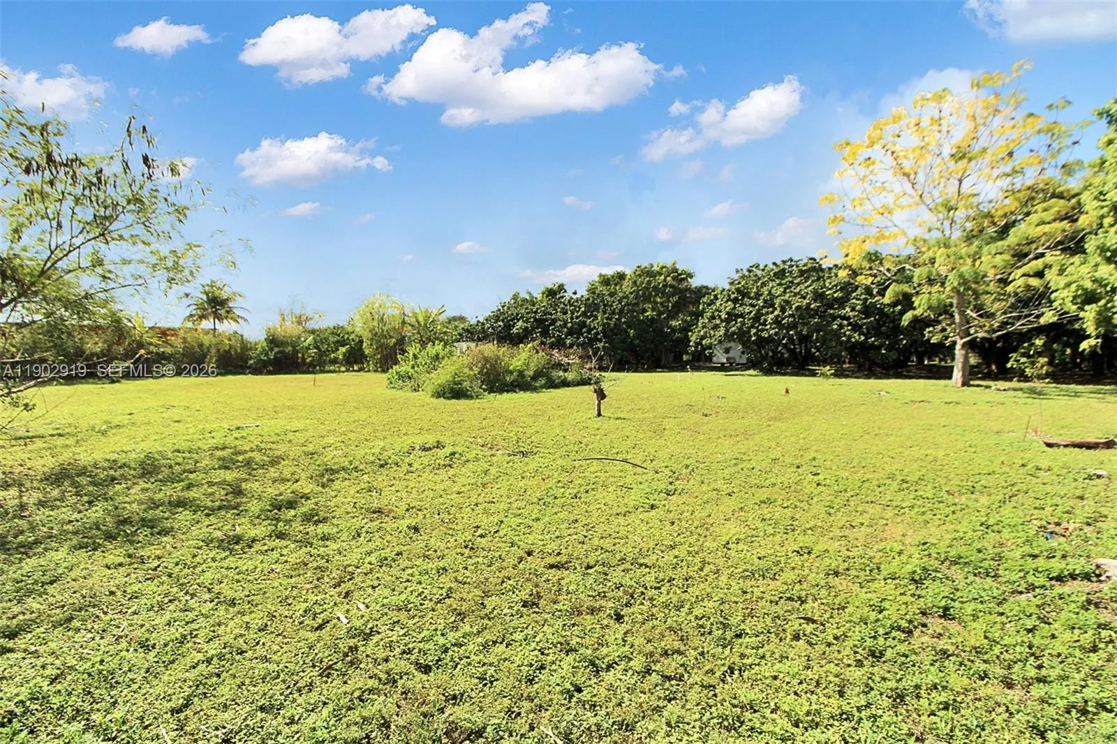 37225 Sw 214th Ave, Homestead, Florida 33034, Homestead, Florida 33034, 3 Bedrooms Bedrooms, ,2 BathroomsBathrooms,Residential Lease,For Rent,37225 Sw 214th Ave, Homestead, Florida 33034,A11902919