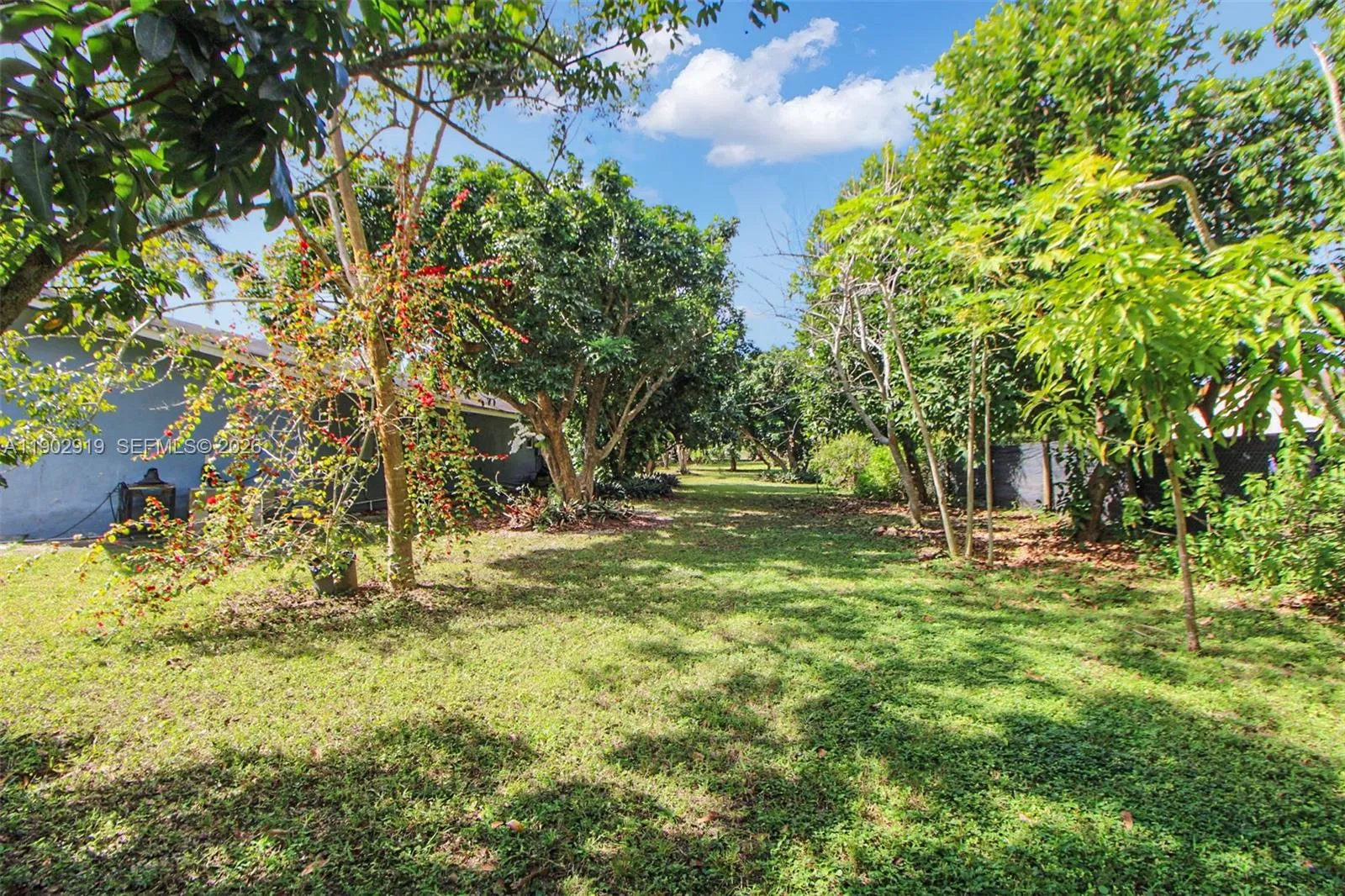 37225 Sw 214th Ave, Homestead, Florida 33034, Homestead, Florida 33034, 3 Bedrooms Bedrooms, ,2 BathroomsBathrooms,Residential Lease,For Rent,37225 Sw 214th Ave, Homestead, Florida 33034,A11902919
