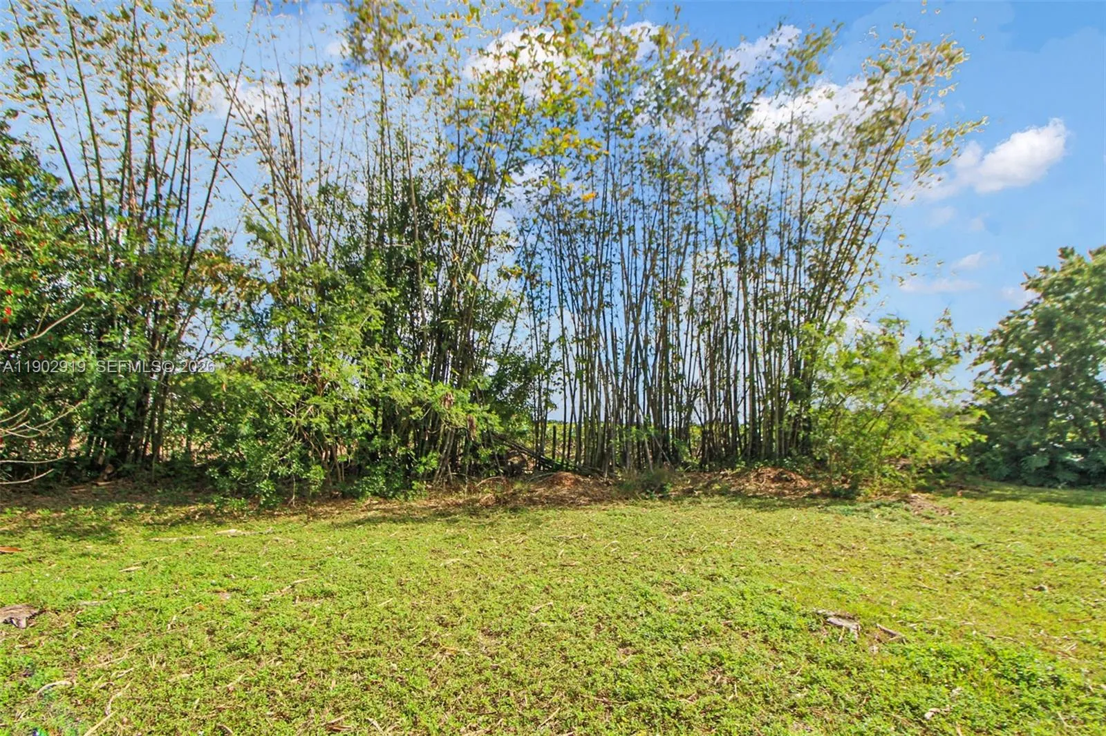 37225 Sw 214th Ave, Homestead, Florida 33034, Homestead, Florida 33034, 3 Bedrooms Bedrooms, ,2 BathroomsBathrooms,Residential Lease,For Rent,37225 Sw 214th Ave, Homestead, Florida 33034,A11902919