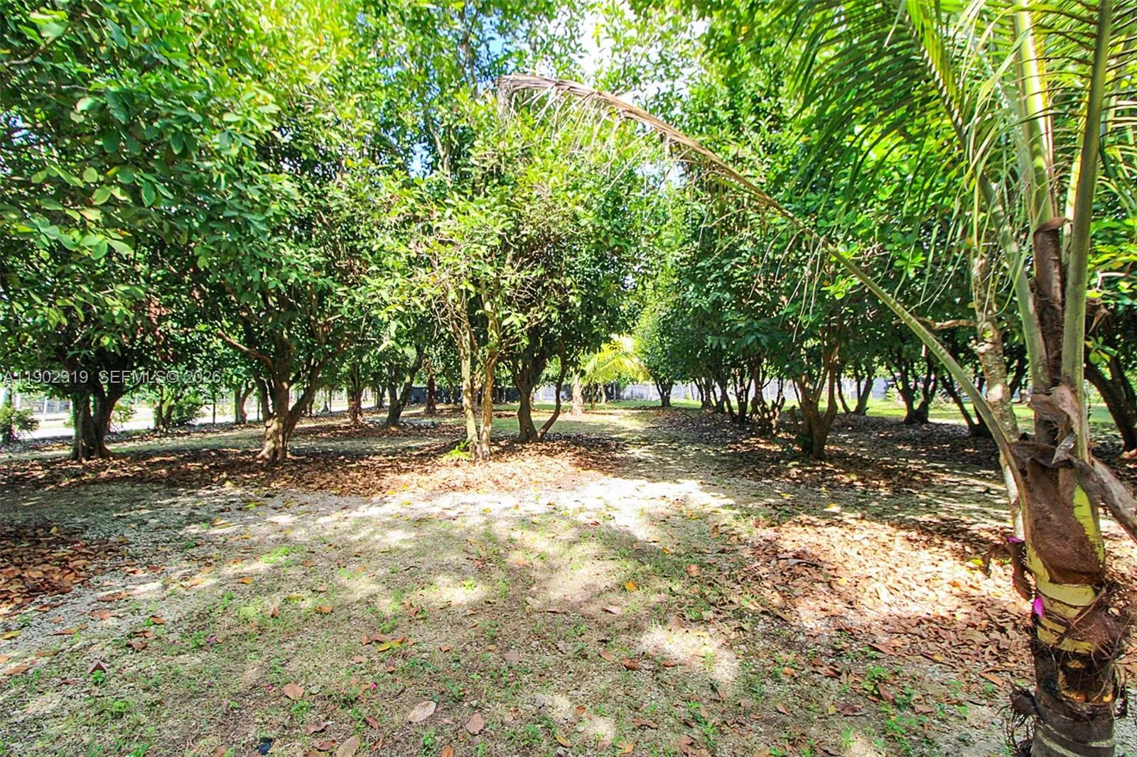 37225 Sw 214th Ave, Homestead, Florida 33034, Homestead, Florida 33034, 3 Bedrooms Bedrooms, ,2 BathroomsBathrooms,Residential Lease,For Rent,37225 Sw 214th Ave, Homestead, Florida 33034,A11902919