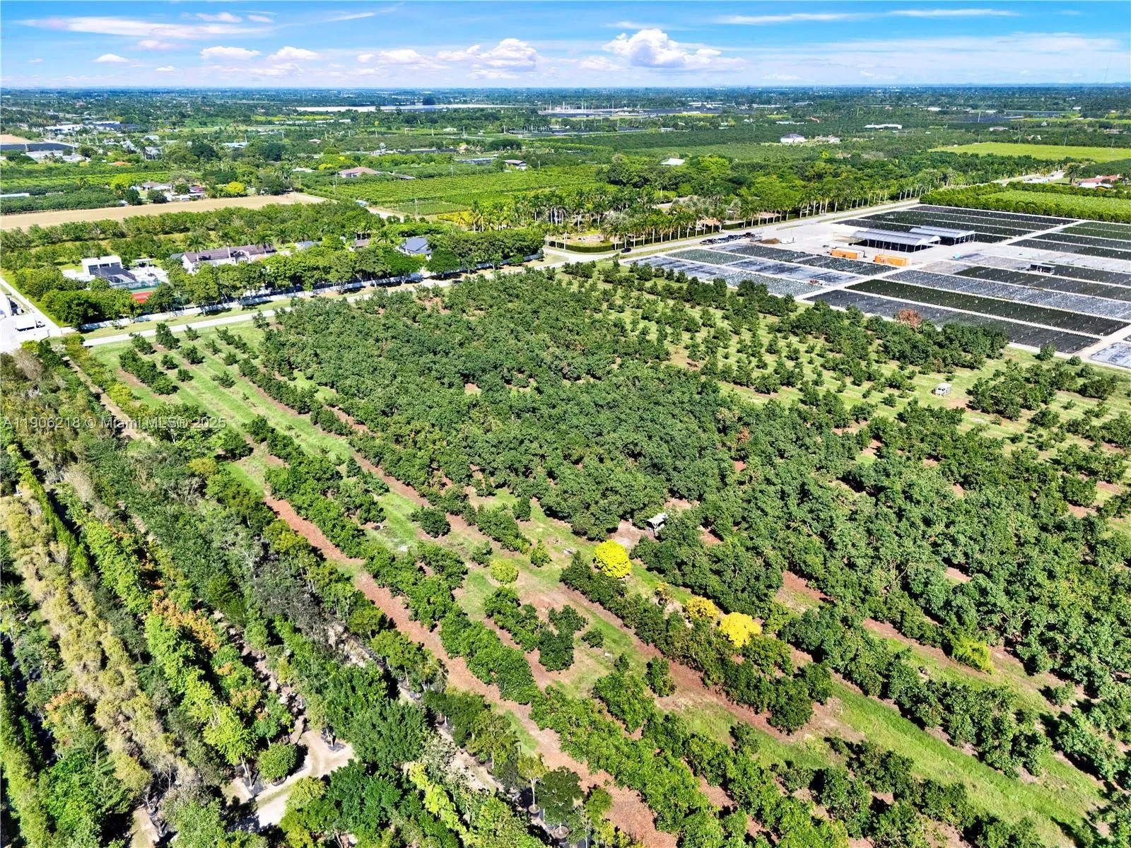 212xx Sw 264th St, Homestead, Florida 33031, Homestead, Florida 33031, ,Land,For Sale,212xx Sw 264th St, Homestead, Florida 33031,A11906218