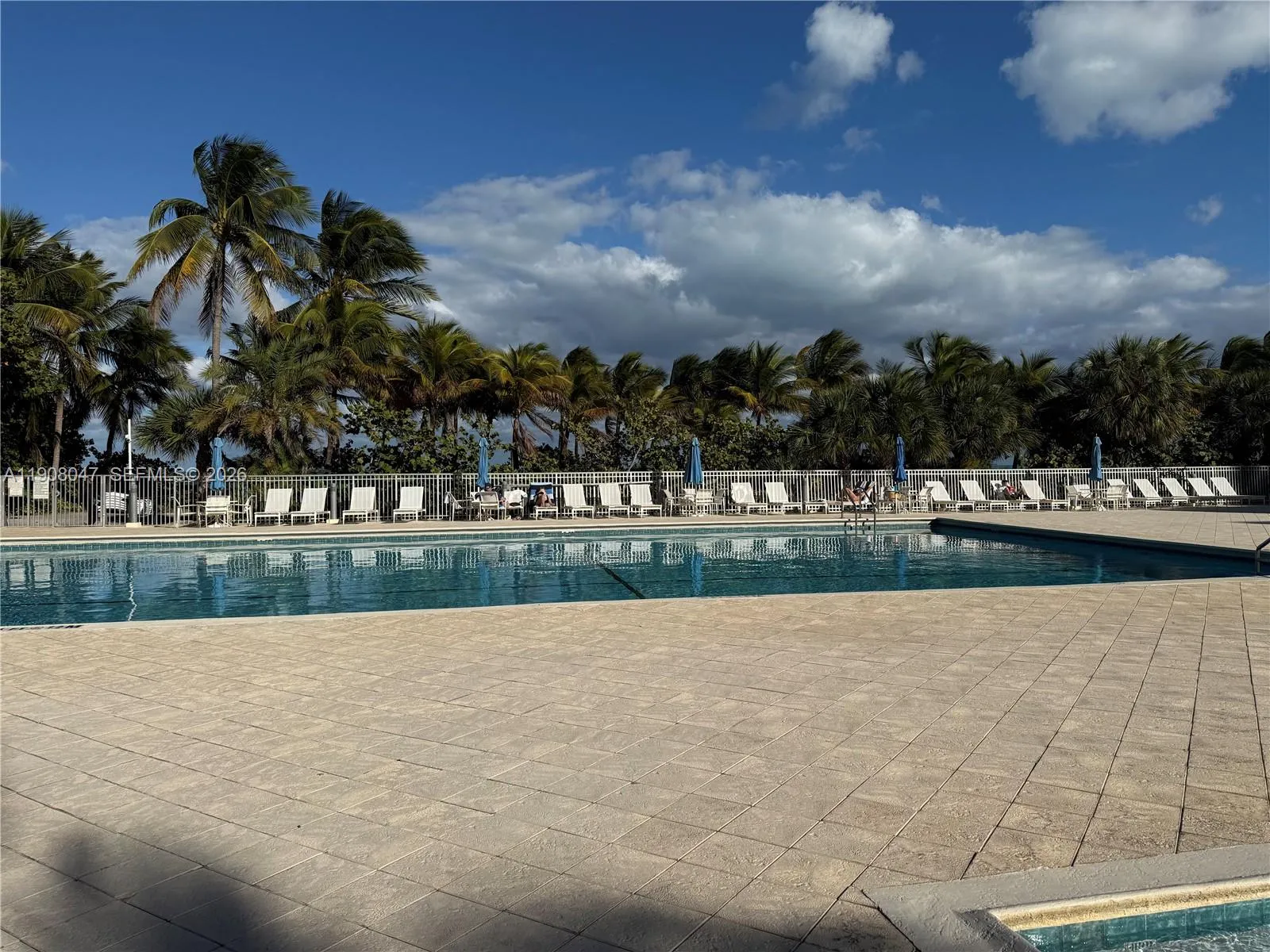 881 Ocean Dr 22e, Key Biscayne, Florida 33149, Key Biscayne, Florida 33149, 3 Bedrooms Bedrooms, ,2 BathroomsBathrooms,Residential Lease,For Rent,881 Ocean Dr 22e, Key Biscayne, Florida 33149,A11908047