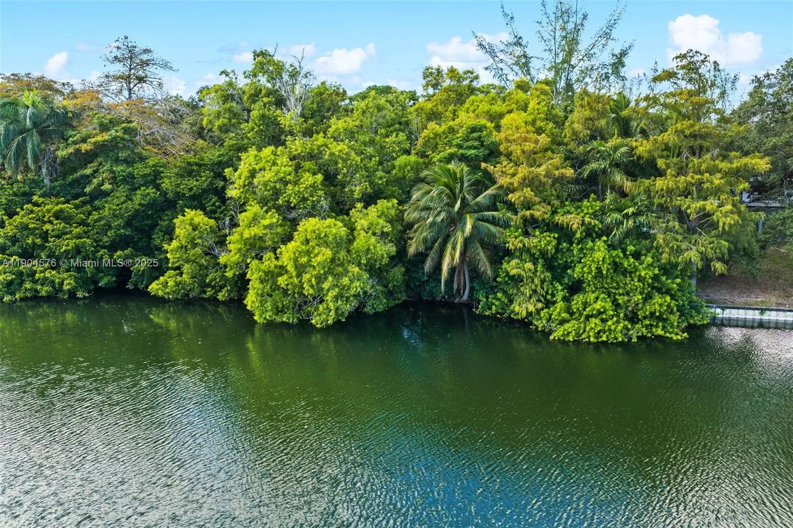 Tbd Unincorporated, Miami, Florida 33167, Miami, Florida 33167, ,Land,For Sale,Tbd Unincorporated, Miami, Florida 33167,A11904576