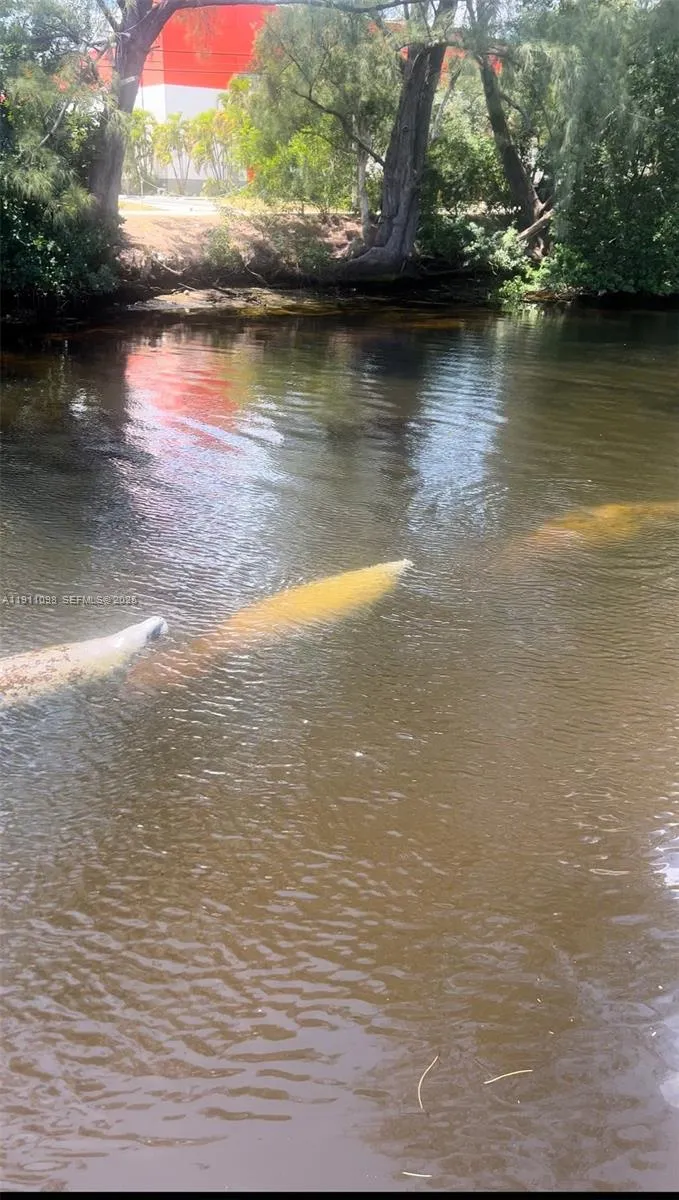 5911 Ne 14th Ln 505s, Fort Lauderdale, Florida 333, Fort Lauderdale, Florida 33334, 2 Bedrooms Bedrooms, ,2 BathroomsBathrooms,Residential,For Sale,5911 Ne 14th Ln 505s, Fort Lauderdale, Florida 333,A11911098