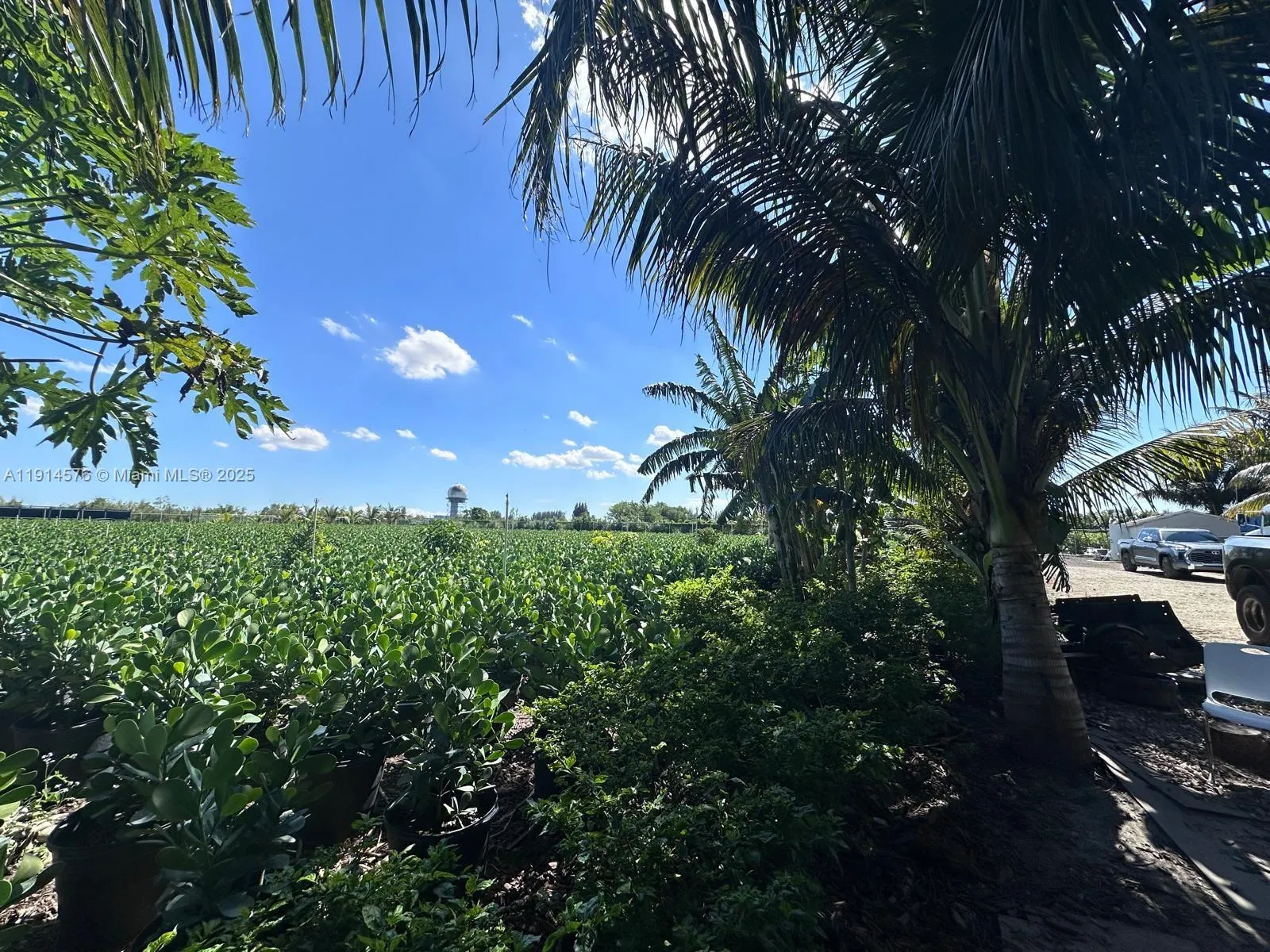 Miami, Florida 33196, ,Land,For Sale,A11914576