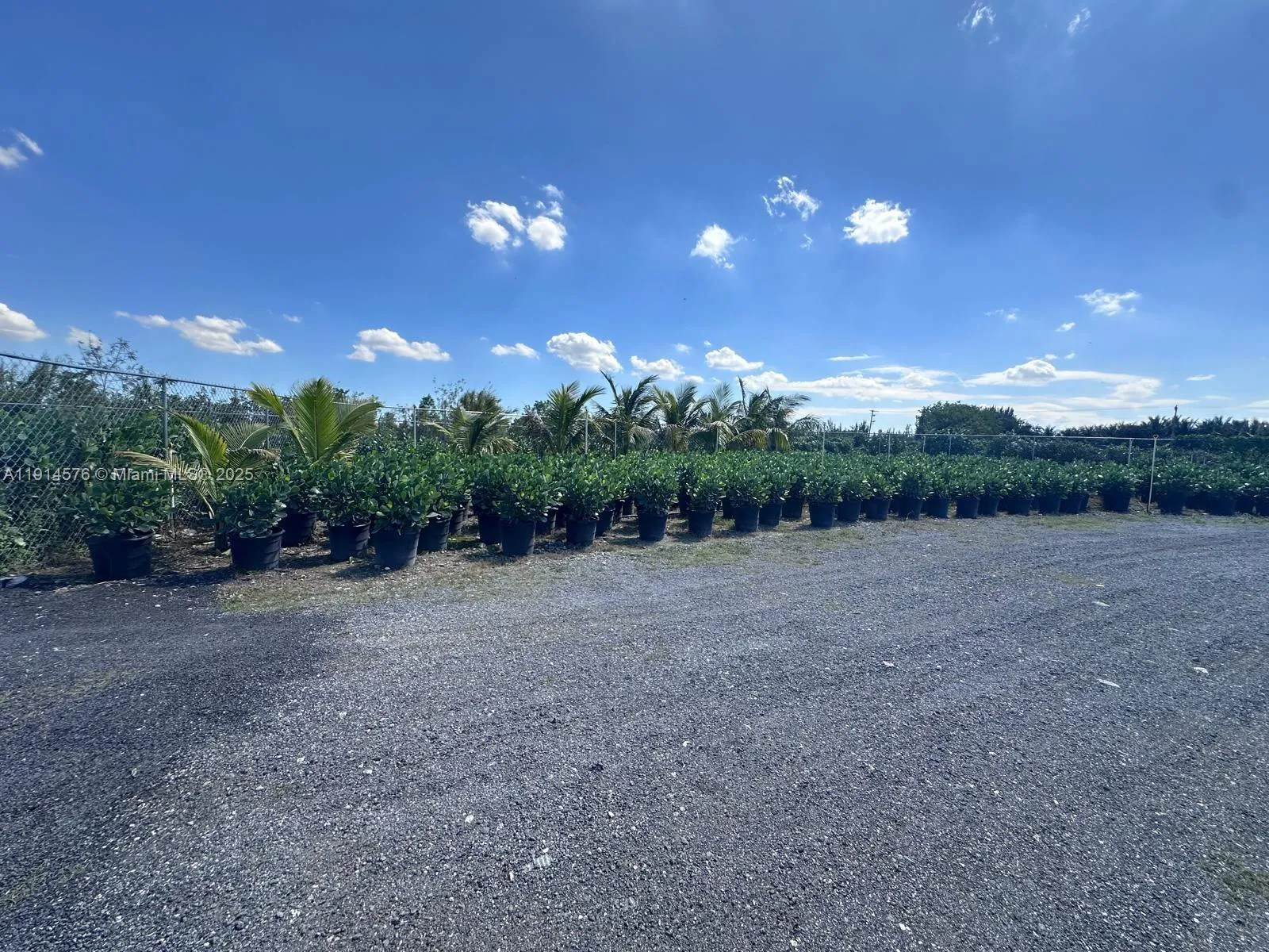 Miami, Florida 33196, ,Land,For Sale,A11914576