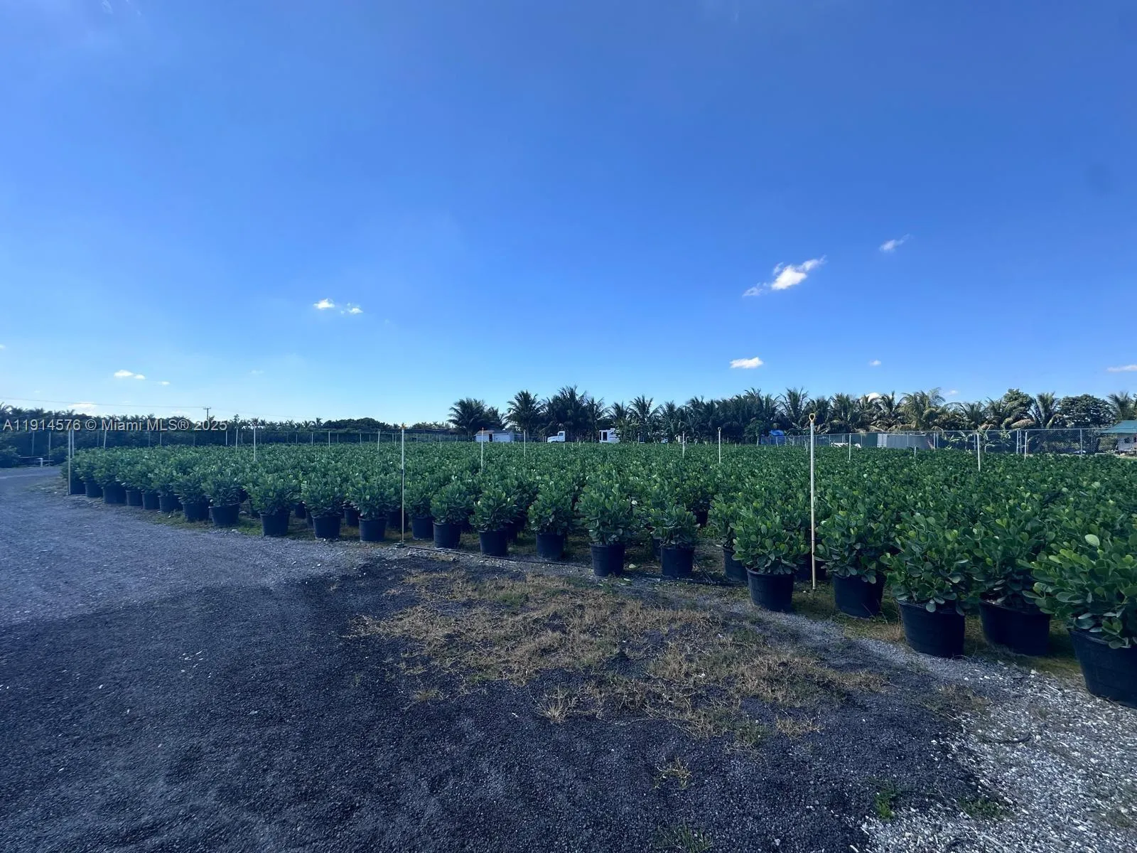 Miami, Florida 33196, ,Land,For Sale,A11914576