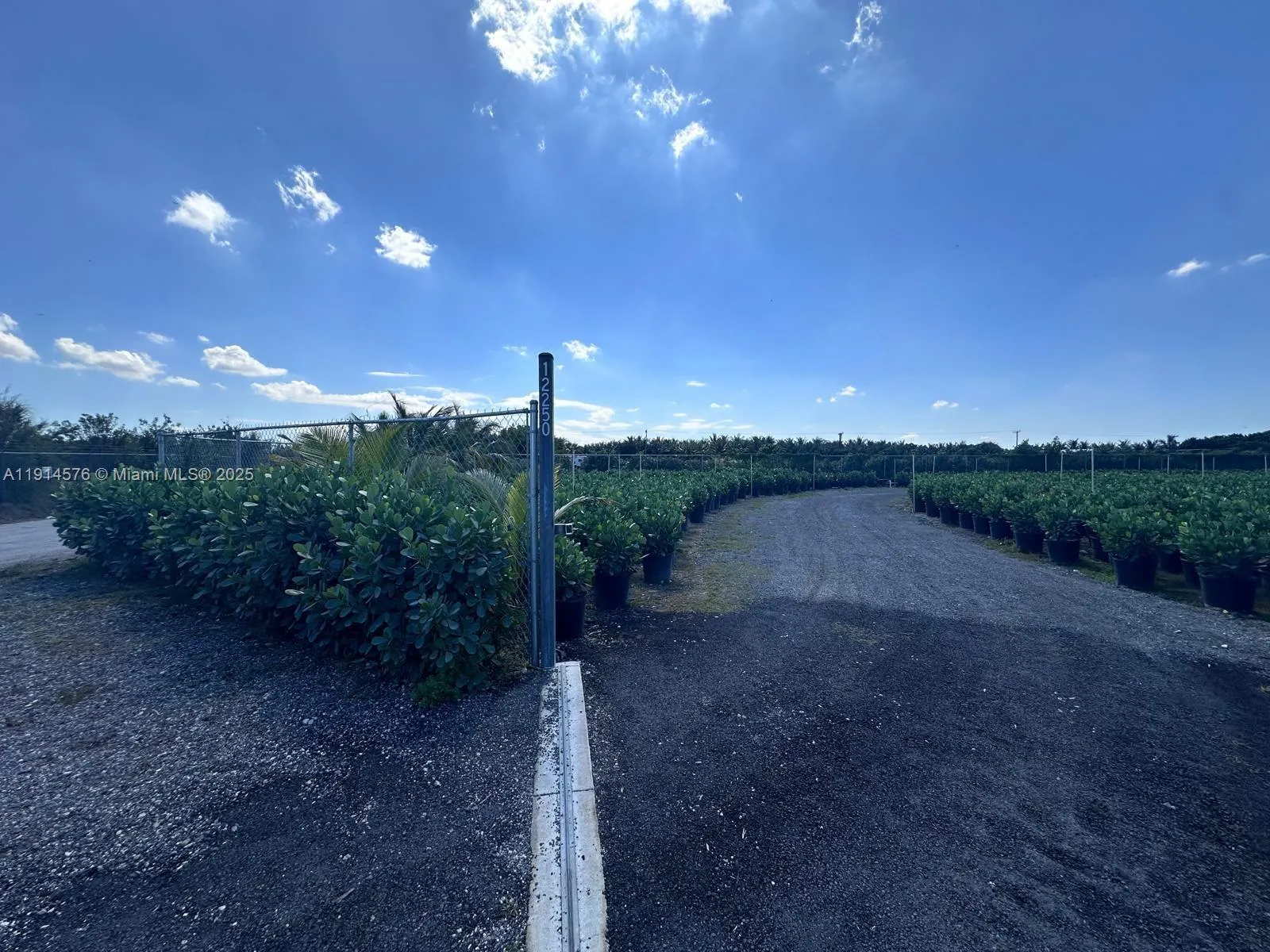 Miami, Florida 33196, ,Land,For Sale,A11914576
