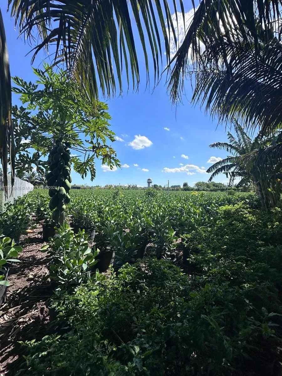 Miami, Florida 33196, ,Land,For Sale,A11914576