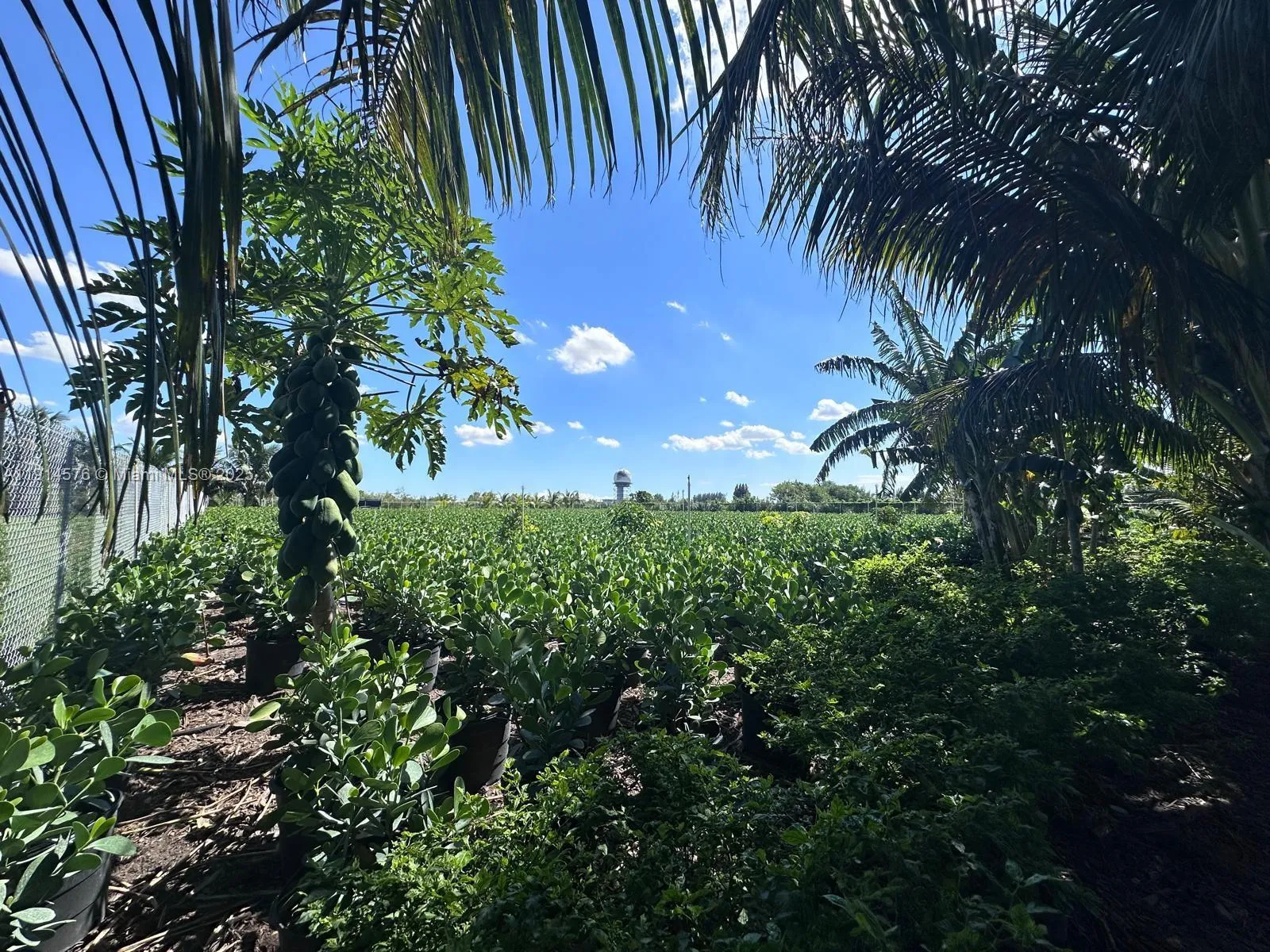 Miami, Florida 33196, ,Land,For Sale,A11914576