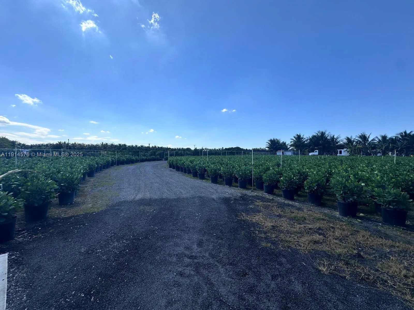 Miami, Florida 33196, ,Land,For Sale,A11914576