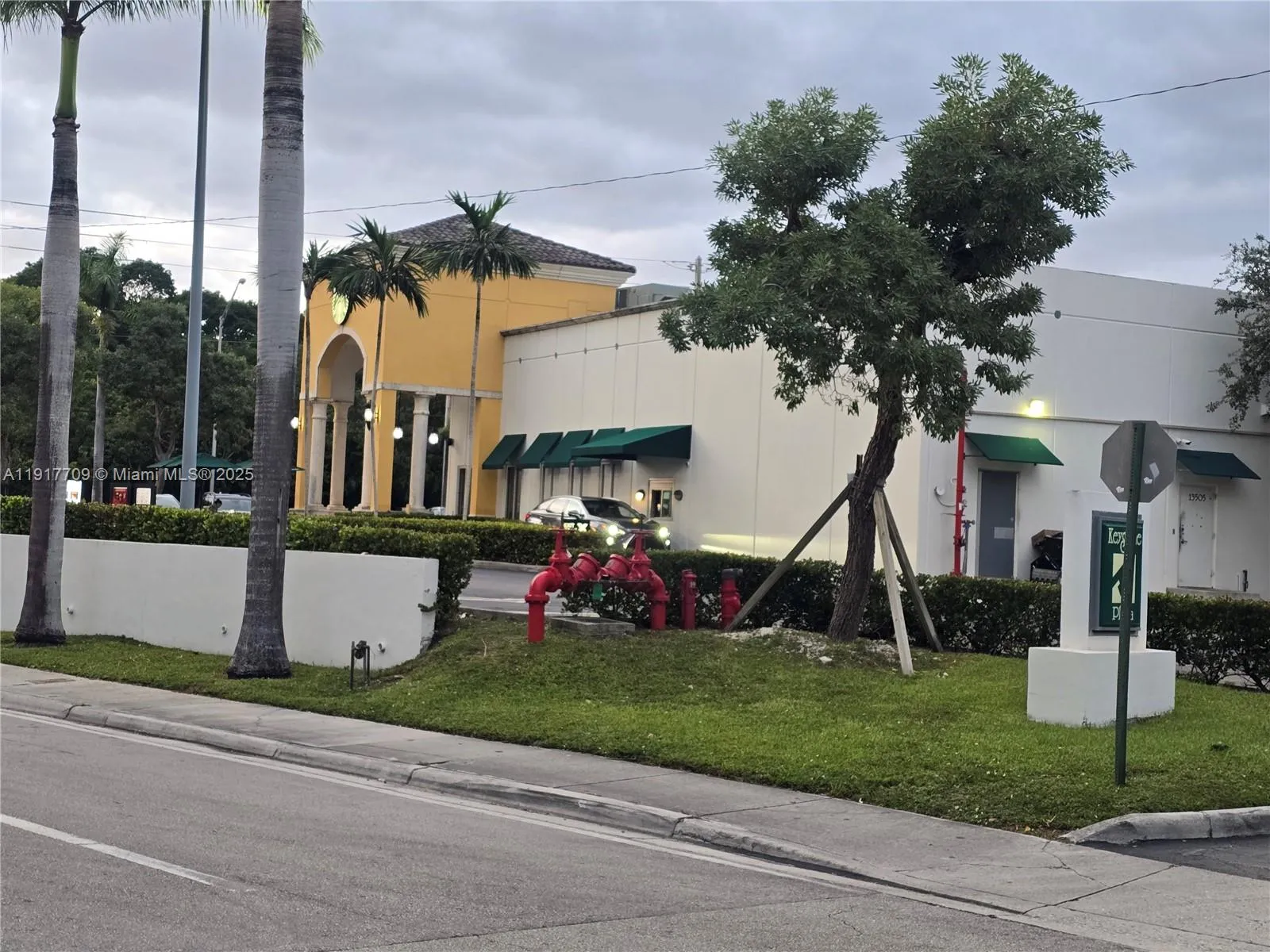 Starbucks Coffee Shop across the street