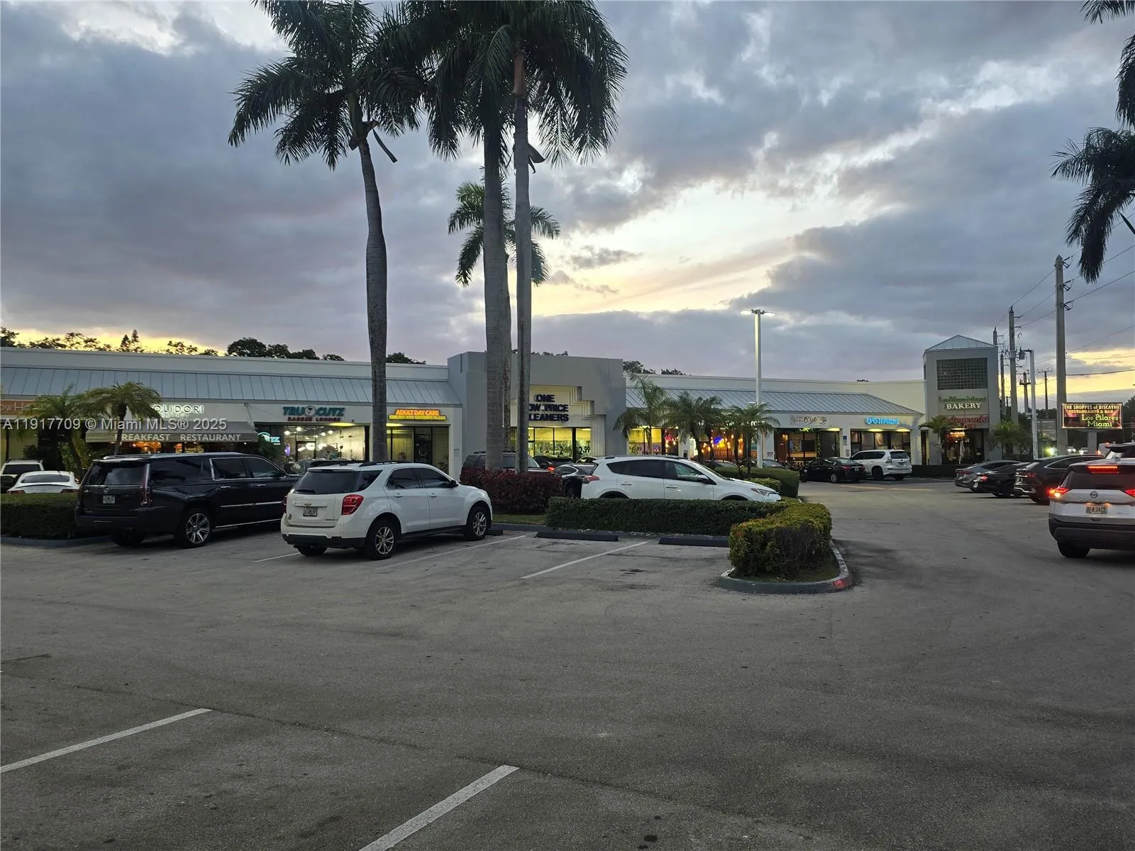 13499 Biscayne Blvd Cum8, North Miami, Florida 331, North Miami, Florida 33181, ,Commercial Lease,For Rent,13499 Biscayne Blvd Cum8, North Miami, Florida 331,A11917709