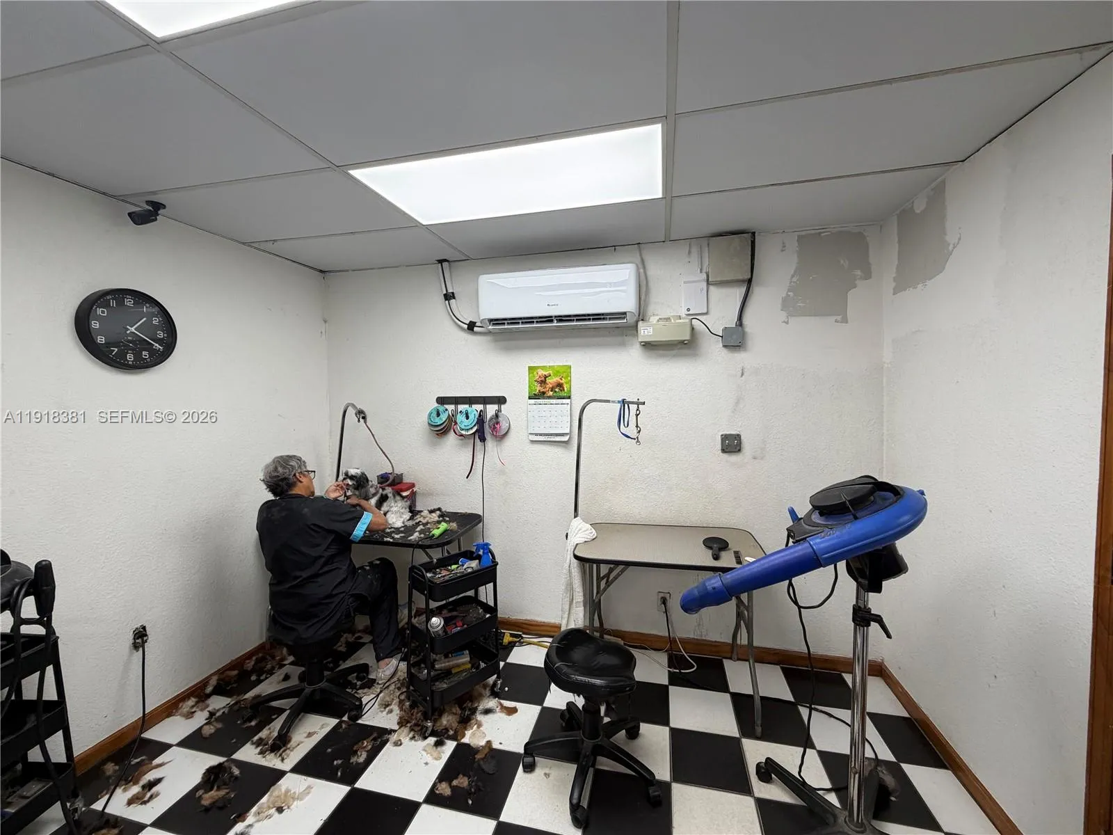 Bird Road, Miami, Florida 33155, Miami, Florida 33155, ,Business Opportunity,For Sale,Bird Road, Miami, Florida 33155,A11918381