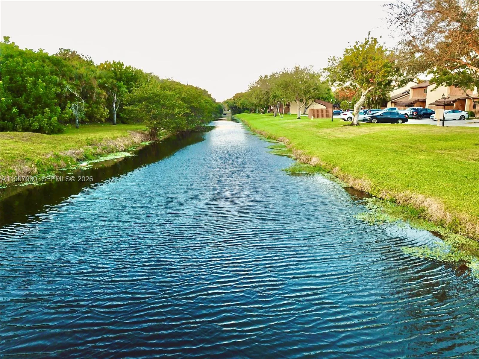 The peaceful Front yard canal