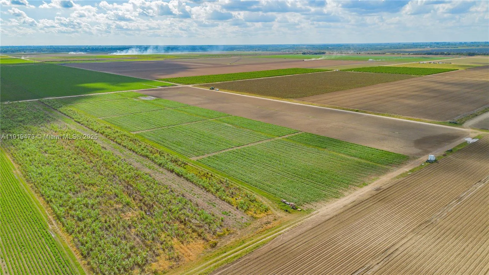 167xx Sw 128th St, Miami, Florida 33196, Miami, Florida 33196, ,Land,For Sale,167xx Sw 128th St, Miami, Florida 33196,A11919473