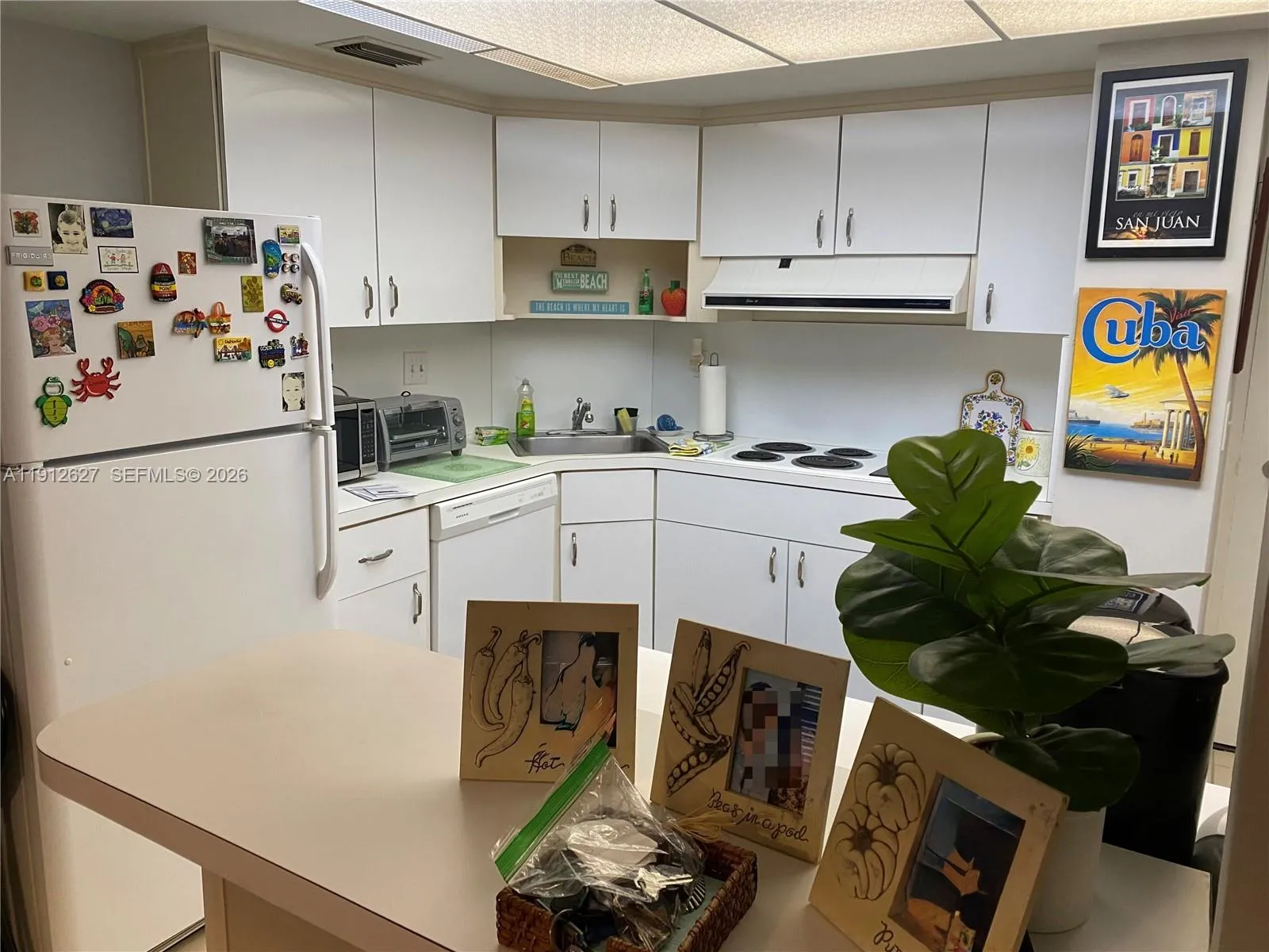 3800 Galt Ocean Dr 1403, Fort Lauderdale, Florida, Fort Lauderdale, Florida 33308, 1 Bedroom Bedrooms, ,1 BathroomBathrooms,Residential Lease,For Rent,3800 Galt Ocean Dr 1403, Fort Lauderdale, Florida ,A11912627