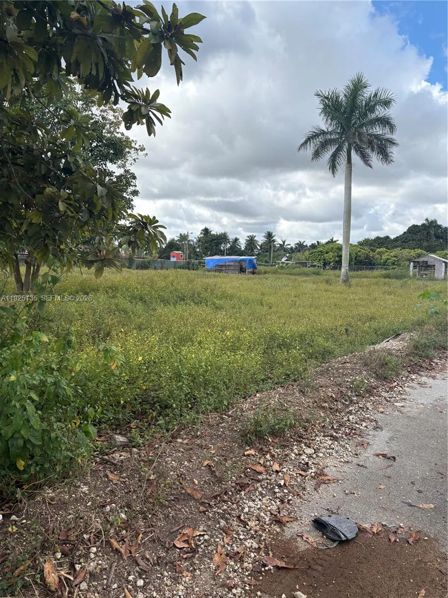 Krome Avenue, Miami, Florida 33196, Miami, Florida 33196, ,Land,For Sale,Krome Avenue, Miami, Florida 33196,A11925135