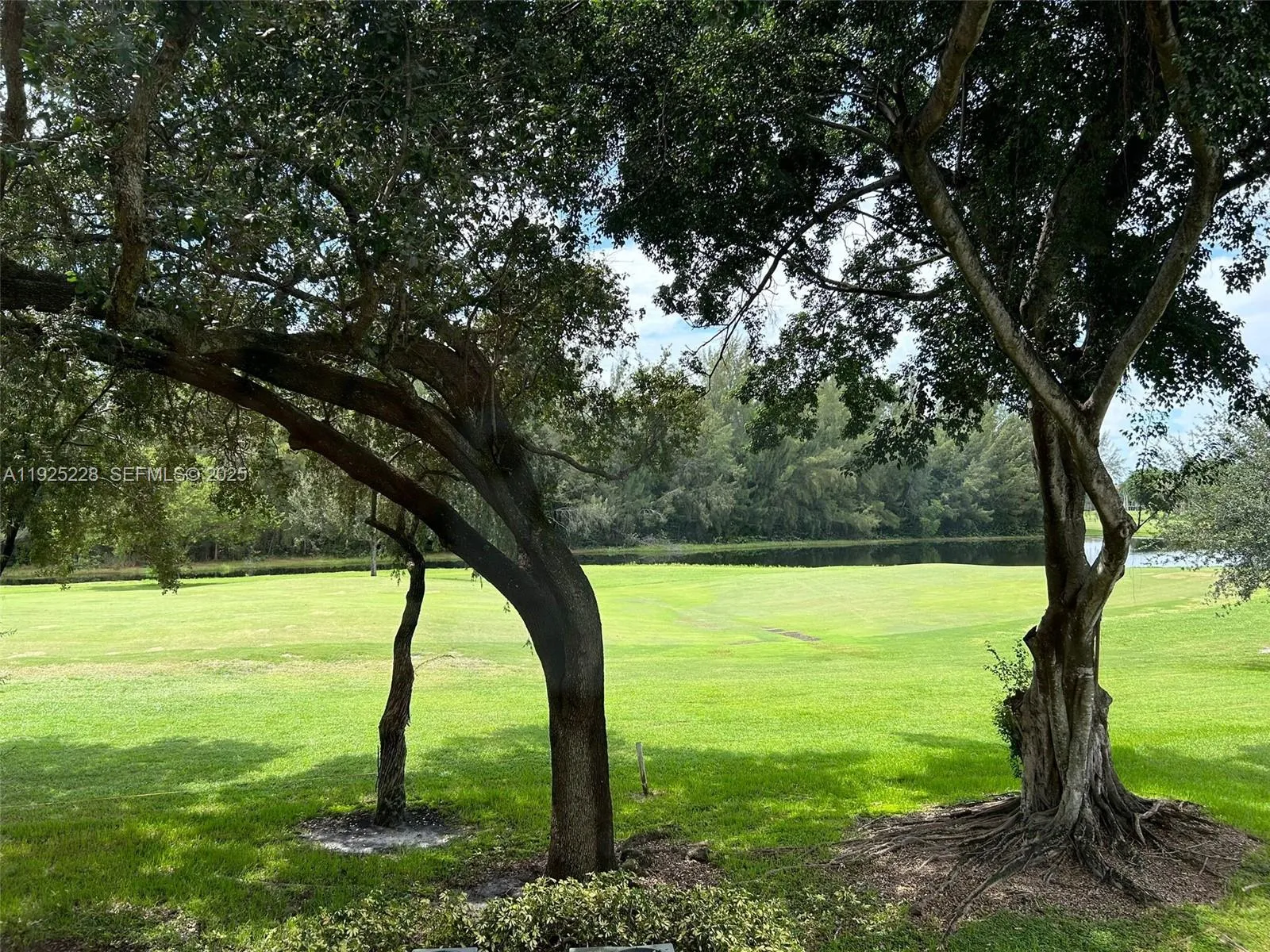 1000 Sw 125th Ave 214n, Pembroke Pines, Florida 33, Pembroke Pines, Florida 33027, 1 Bedroom Bedrooms, ,1 BathroomBathrooms,Residential,For Sale,1000 Sw 125th Ave 214n, Pembroke Pines, Florida 33,A11925228