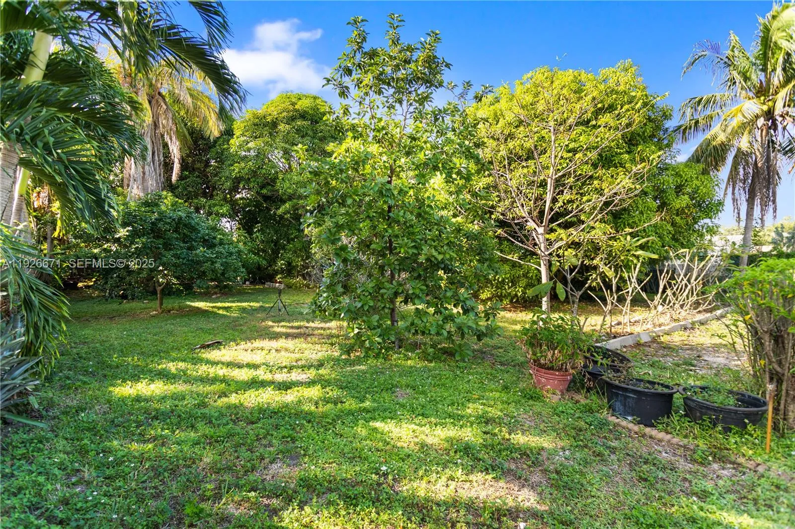 425 Nw 7th Ter, Fort Lauderdale, Florida 33311, Fort Lauderdale, Florida 33311, ,Land,For Sale,425 Nw 7th Ter, Fort Lauderdale, Florida 33311,A11926671