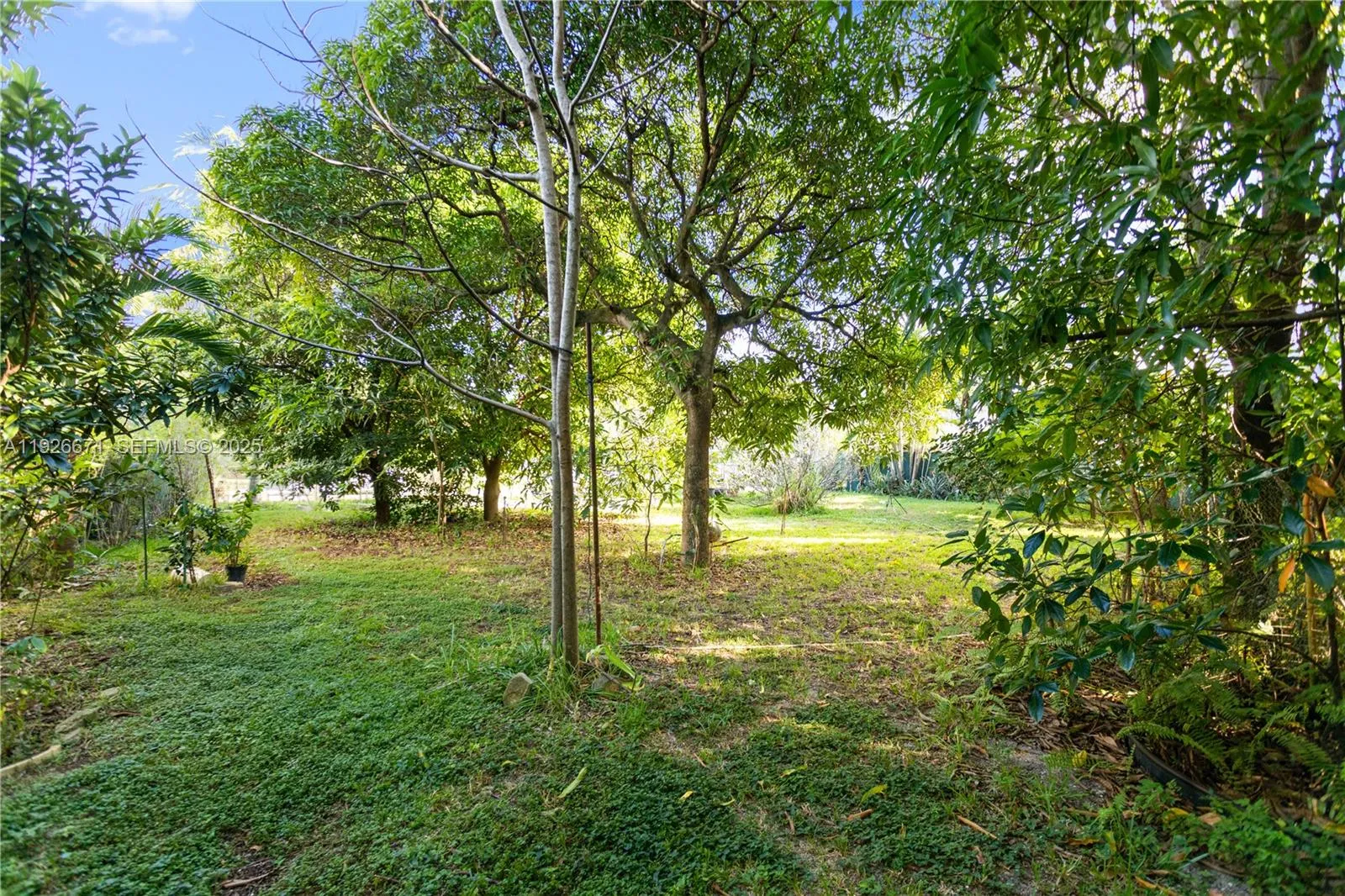 425 Nw 7th Ter, Fort Lauderdale, Florida 33311, Fort Lauderdale, Florida 33311, ,Land,For Sale,425 Nw 7th Ter, Fort Lauderdale, Florida 33311,A11926671