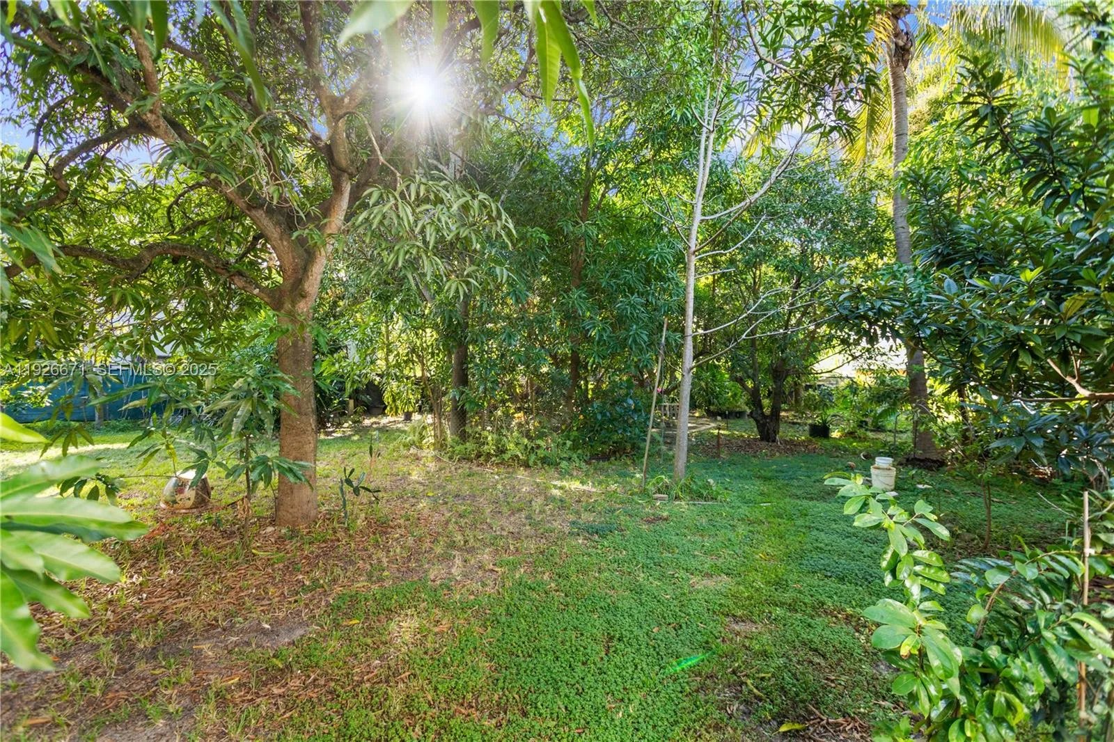 425 Nw 7th Ter, Fort Lauderdale, Florida 33311, Fort Lauderdale, Florida 33311, ,Land,For Sale,425 Nw 7th Ter, Fort Lauderdale, Florida 33311,A11926671