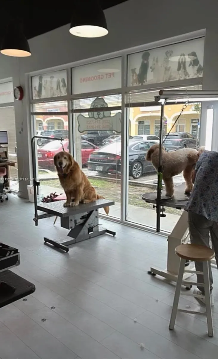 6676 Sterling Rd, Davie, Florida 33024, Davie, Florida 33024, ,Business Opportunity,For Sale,6676 Sterling Rd, Davie, Florida 33024,A11928359