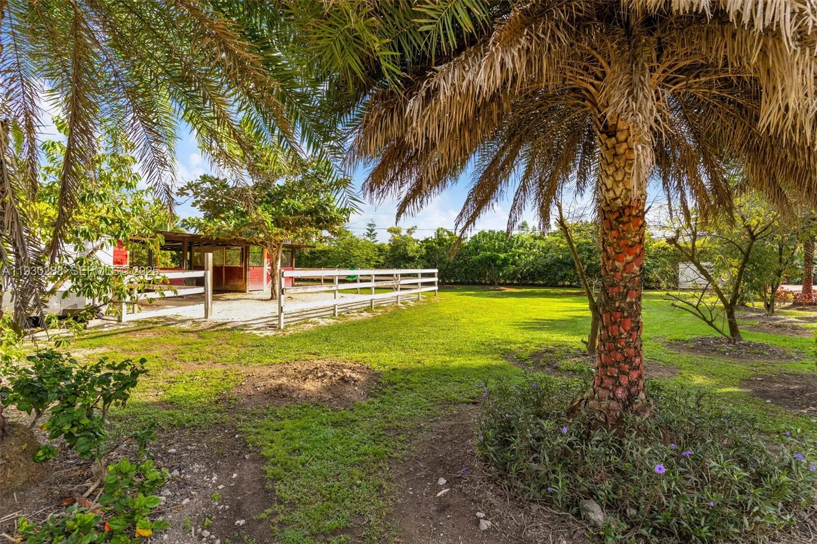 16020 Sw 208th Ave, Miami, Florida 33187, Miami, Florida 33187, ,Residential Income,For Sale,16020 Sw 208th Ave, Miami, Florida 33187,A11930288