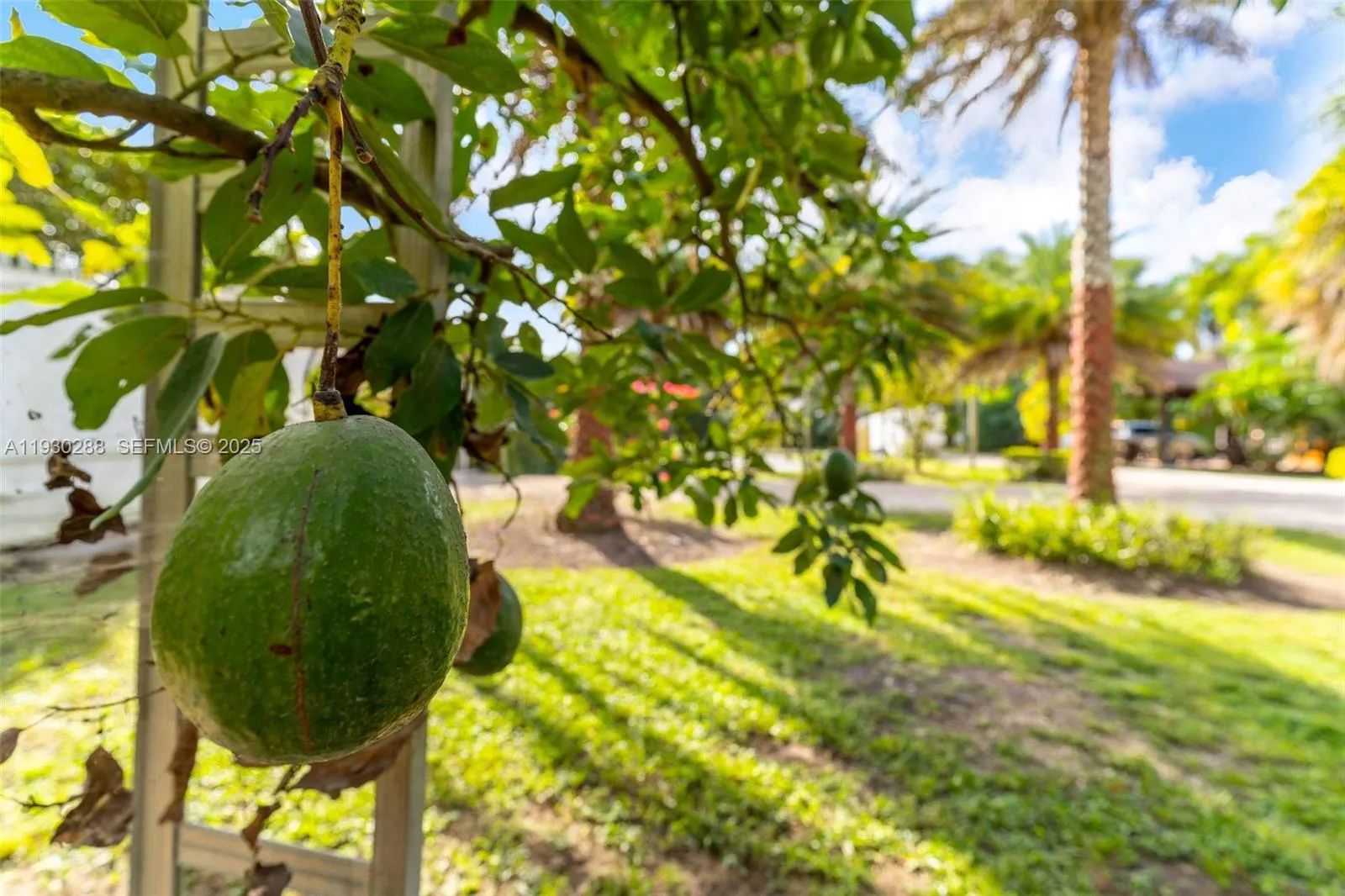 16020 Sw 208th Ave, Miami, Florida 33187, Miami, Florida 33187, ,Residential Income,For Sale,16020 Sw 208th Ave, Miami, Florida 33187,A11930288