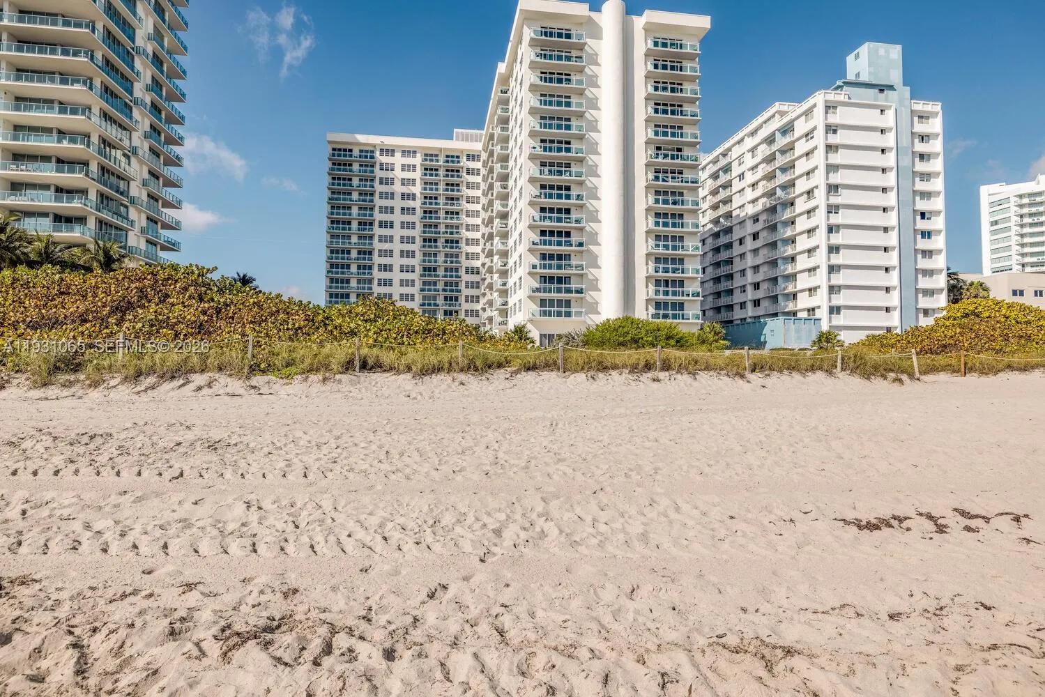 6917 Collins Ave 1008, Miami Beach, Florida 33141, Miami Beach, Florida 33141, 1 Bedroom Bedrooms, ,1 BathroomBathrooms,Residential,For Sale,6917 Collins Ave 1008, Miami Beach, Florida 33141,A11931065 6917 Collins Ave 1008, Miami Beach, Florida 33141, Miami Beach, Florida 33141, 1 Bedroom Bedrooms, ,1 BathroomBathrooms,Residential,For Sale,6917 Collins Ave 1008, Miami Beach, Florida 33141,A11931065