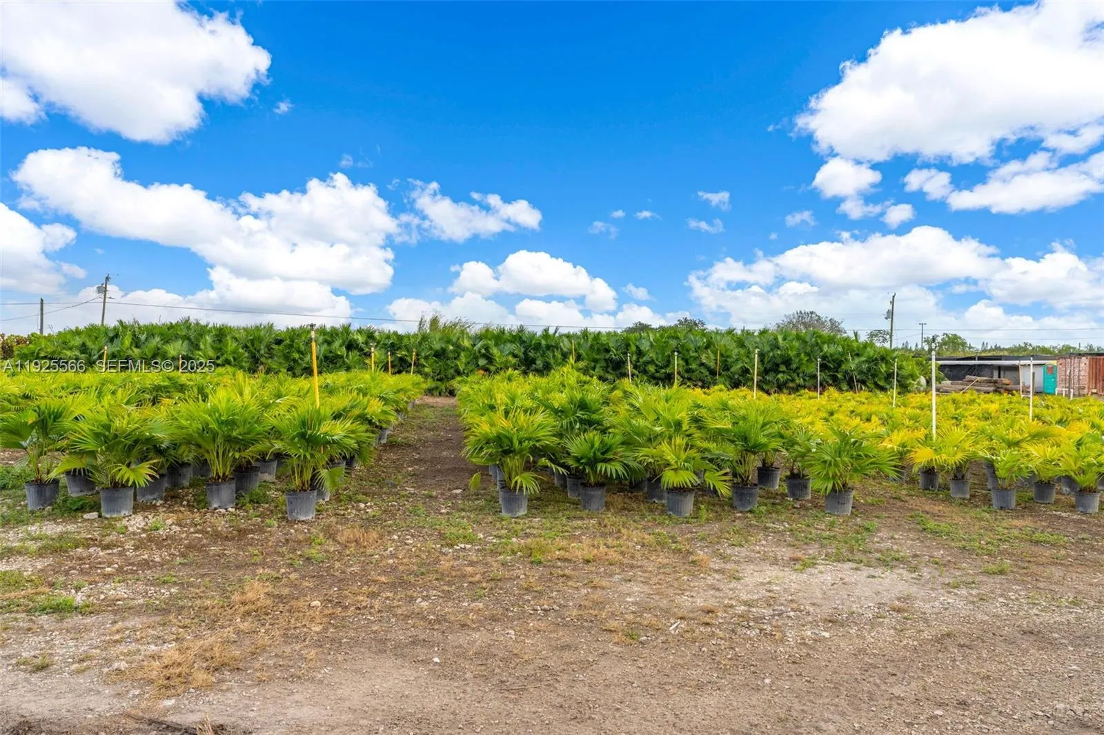 Miami, Florida 33196, ,Business Opportunity,For Sale,A11925566