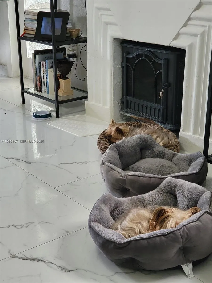 210 Ne 110th St, Miami, Florida 33161, Miami, Florida 33161, ,Residential Income,For Sale,210 Ne 110th St, Miami, Florida 33161,A11932107