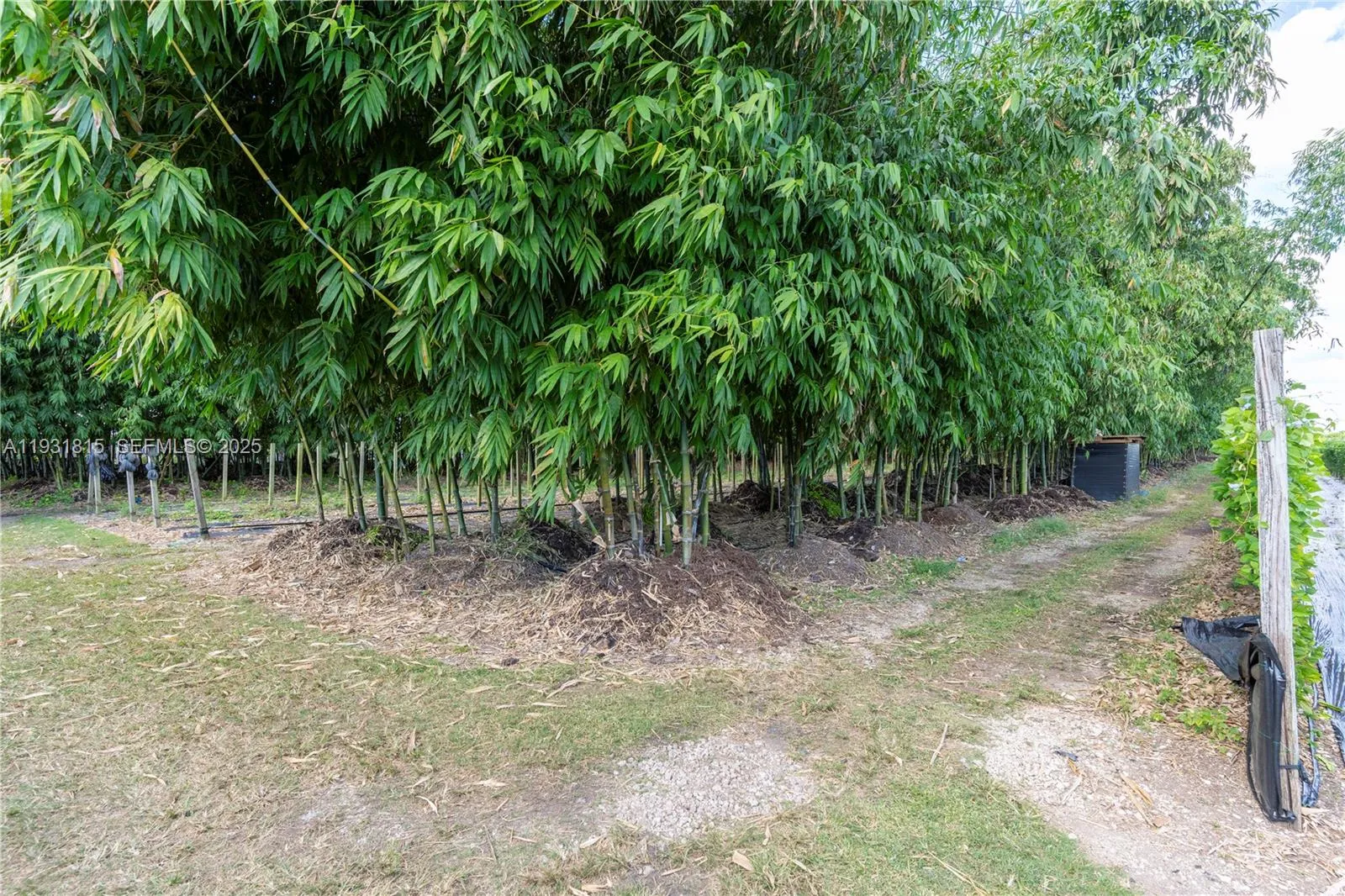 21955 Sw 264th St, Homestead, Florida 33031, Homestead, Florida 33031, ,Commercial Lease,For Rent,21955 Sw 264th St, Homestead, Florida 33031,A11931815