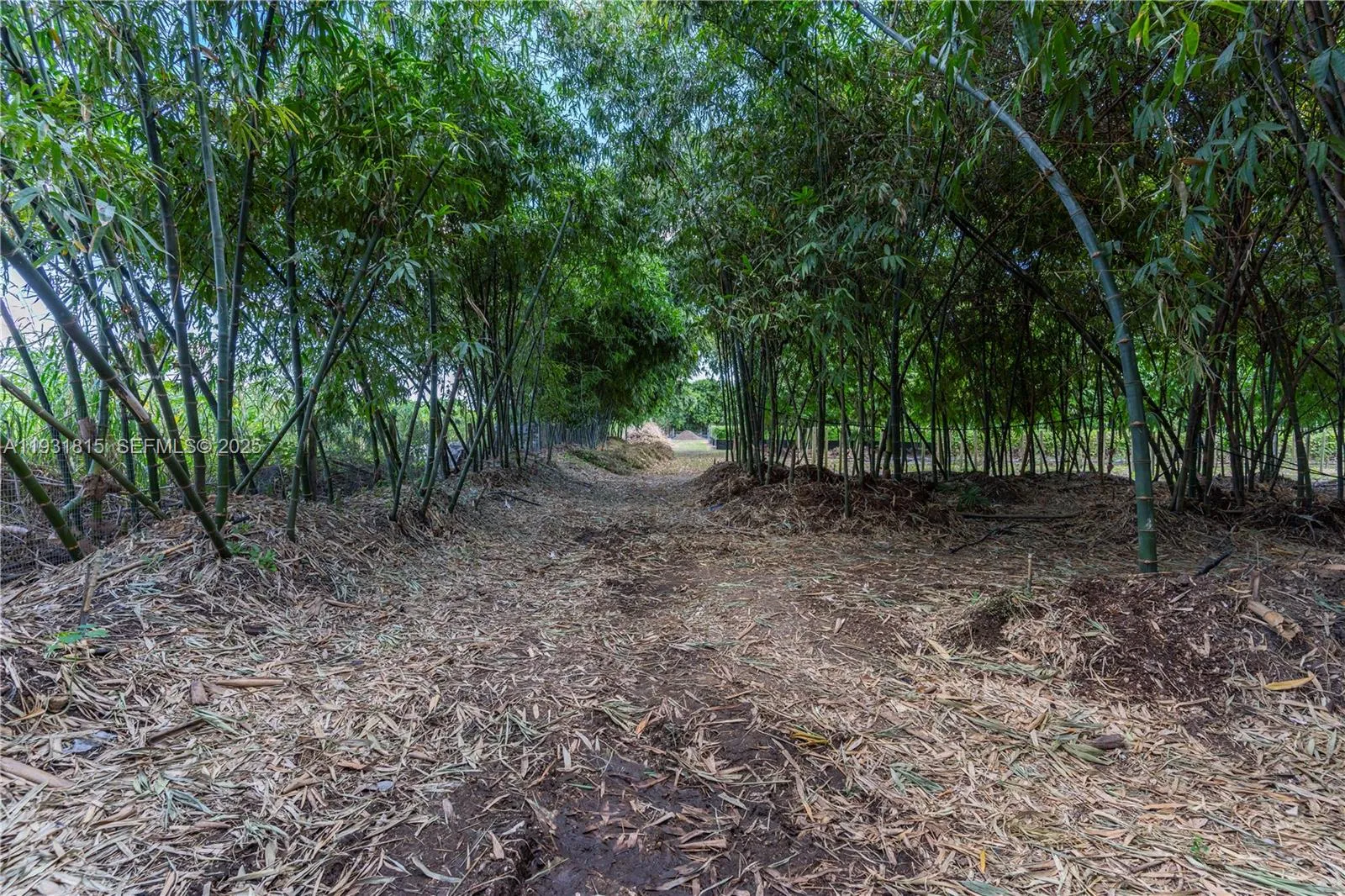 21955 Sw 264th St, Homestead, Florida 33031, Homestead, Florida 33031, ,Commercial Lease,For Rent,21955 Sw 264th St, Homestead, Florida 33031,A11931815