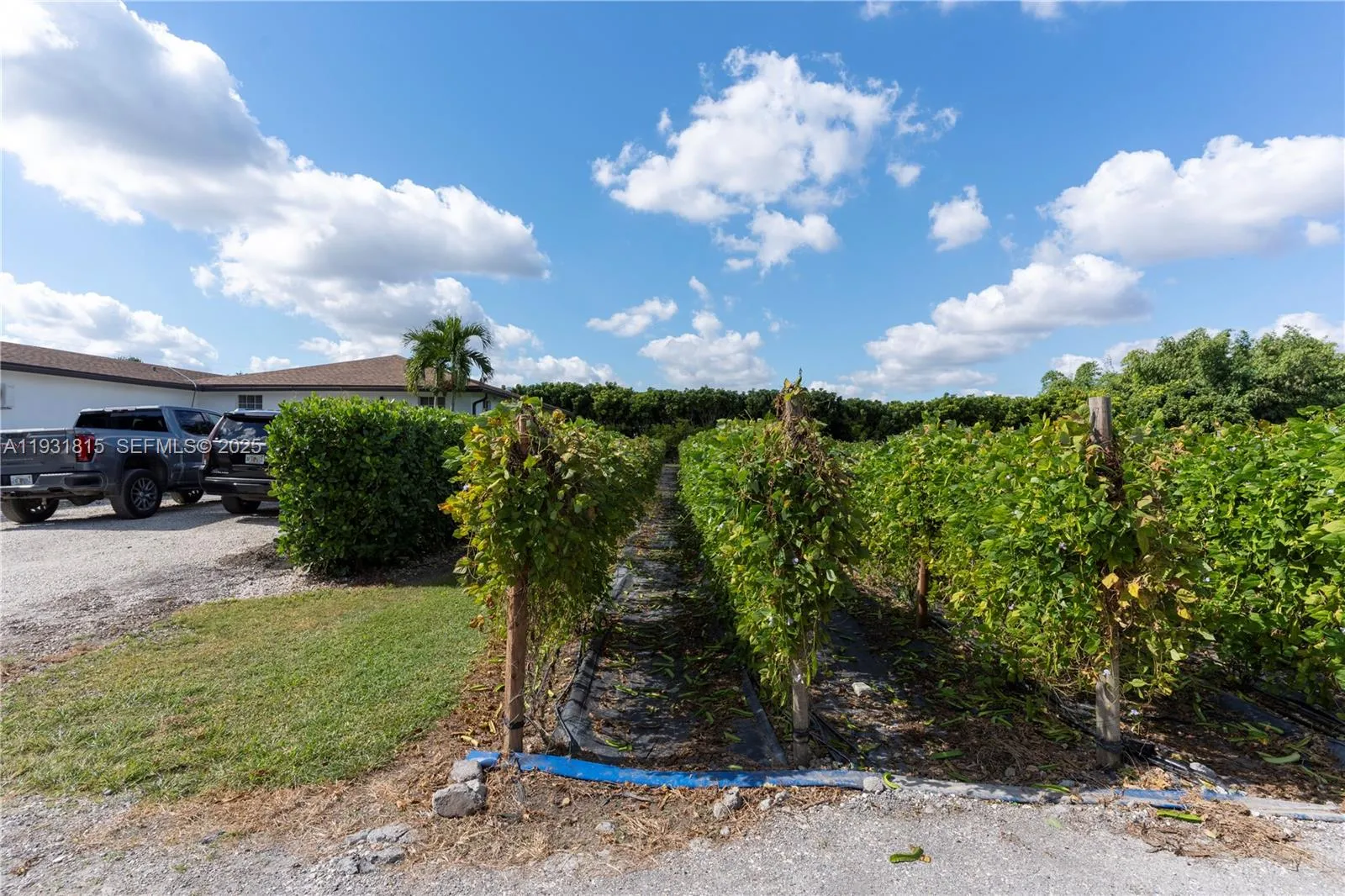 21955 Sw 264th St, Homestead, Florida 33031, Homestead, Florida 33031, ,Commercial Lease,For Rent,21955 Sw 264th St, Homestead, Florida 33031,A11931815