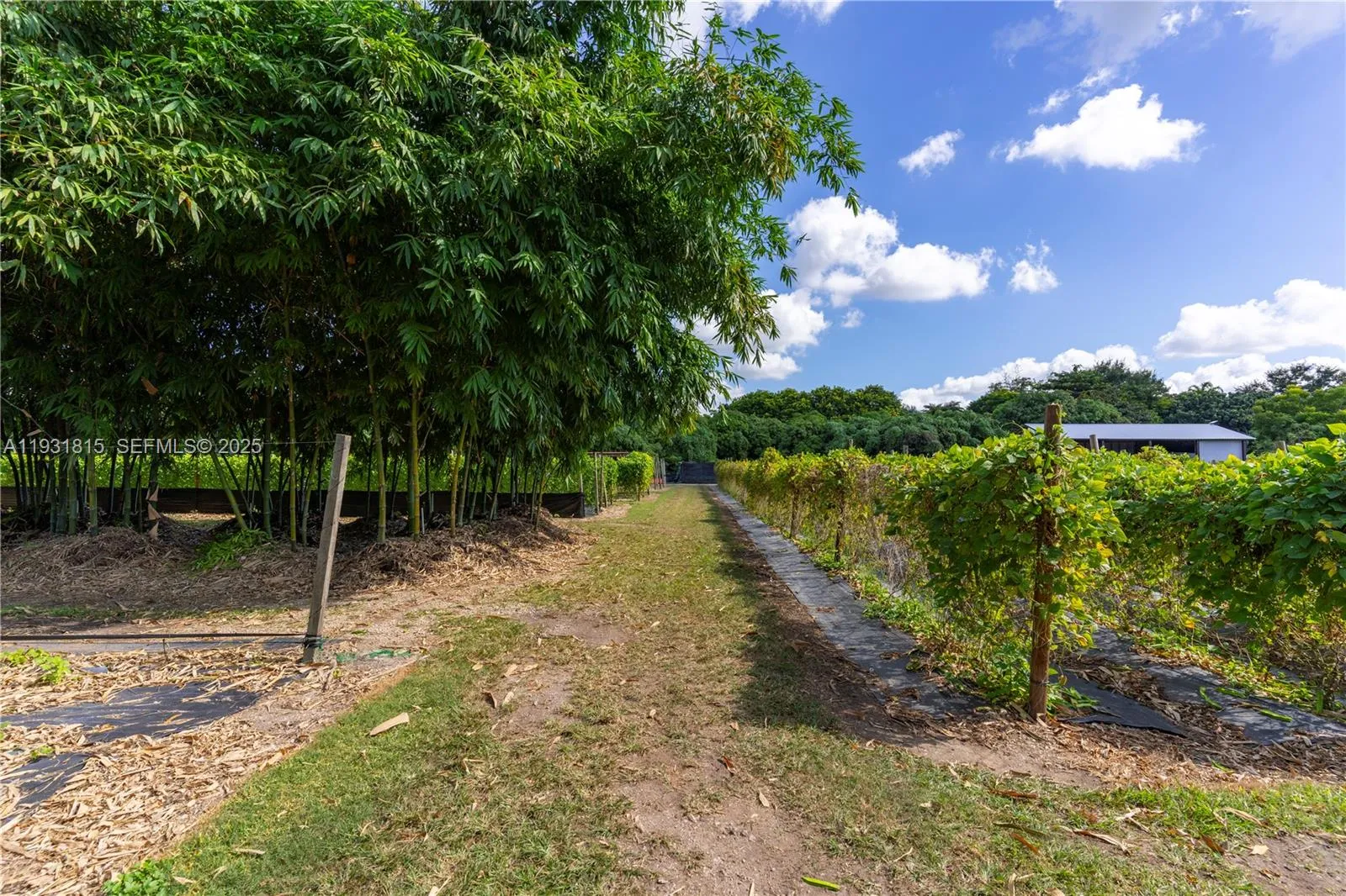 21955 Sw 264th St, Homestead, Florida 33031, Homestead, Florida 33031, ,Commercial Lease,For Rent,21955 Sw 264th St, Homestead, Florida 33031,A11931815