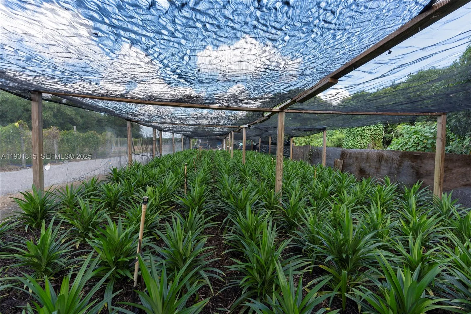 21955 Sw 264th St, Homestead, Florida 33031, Homestead, Florida 33031, ,Commercial Lease,For Rent,21955 Sw 264th St, Homestead, Florida 33031,A11931815