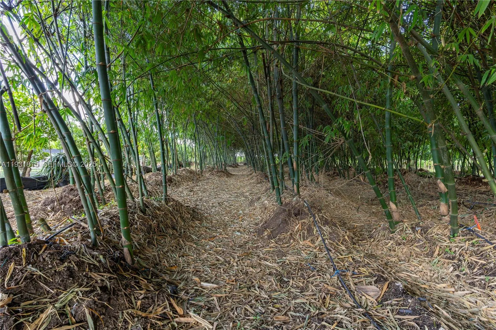 21955 Sw 264th St, Homestead, Florida 33031, Homestead, Florida 33031, ,Commercial Lease,For Rent,21955 Sw 264th St, Homestead, Florida 33031,A11931815