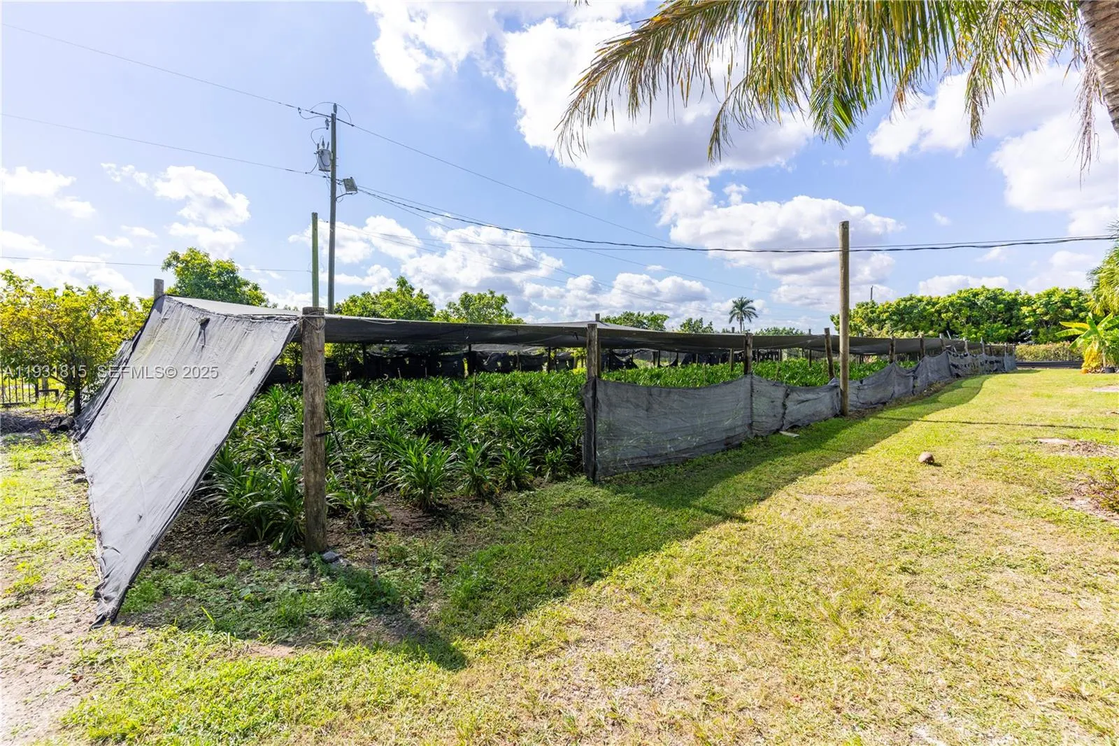 21955 Sw 264th St, Homestead, Florida 33031, Homestead, Florida 33031, ,Commercial Lease,For Rent,21955 Sw 264th St, Homestead, Florida 33031,A11931815