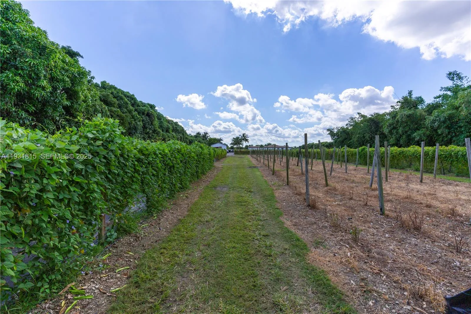 21955 Sw 264th St, Homestead, Florida 33031, Homestead, Florida 33031, ,Commercial Lease,For Rent,21955 Sw 264th St, Homestead, Florida 33031,A11931815