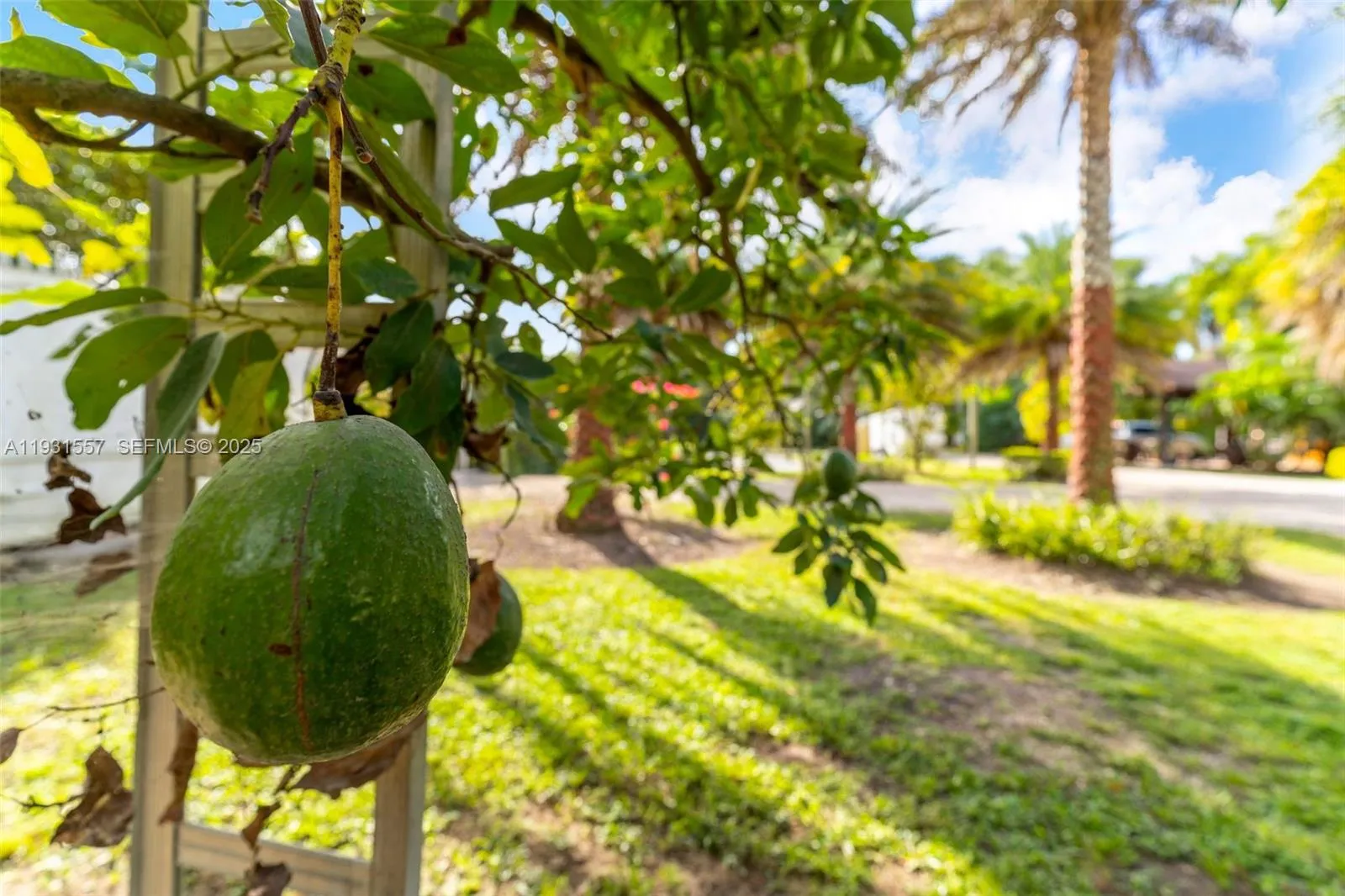 16020 Sw 208th Ave, Miami, Florida 33187, Miami, Florida 33187, ,Land,For Sale,16020 Sw 208th Ave, Miami, Florida 33187,A11931557