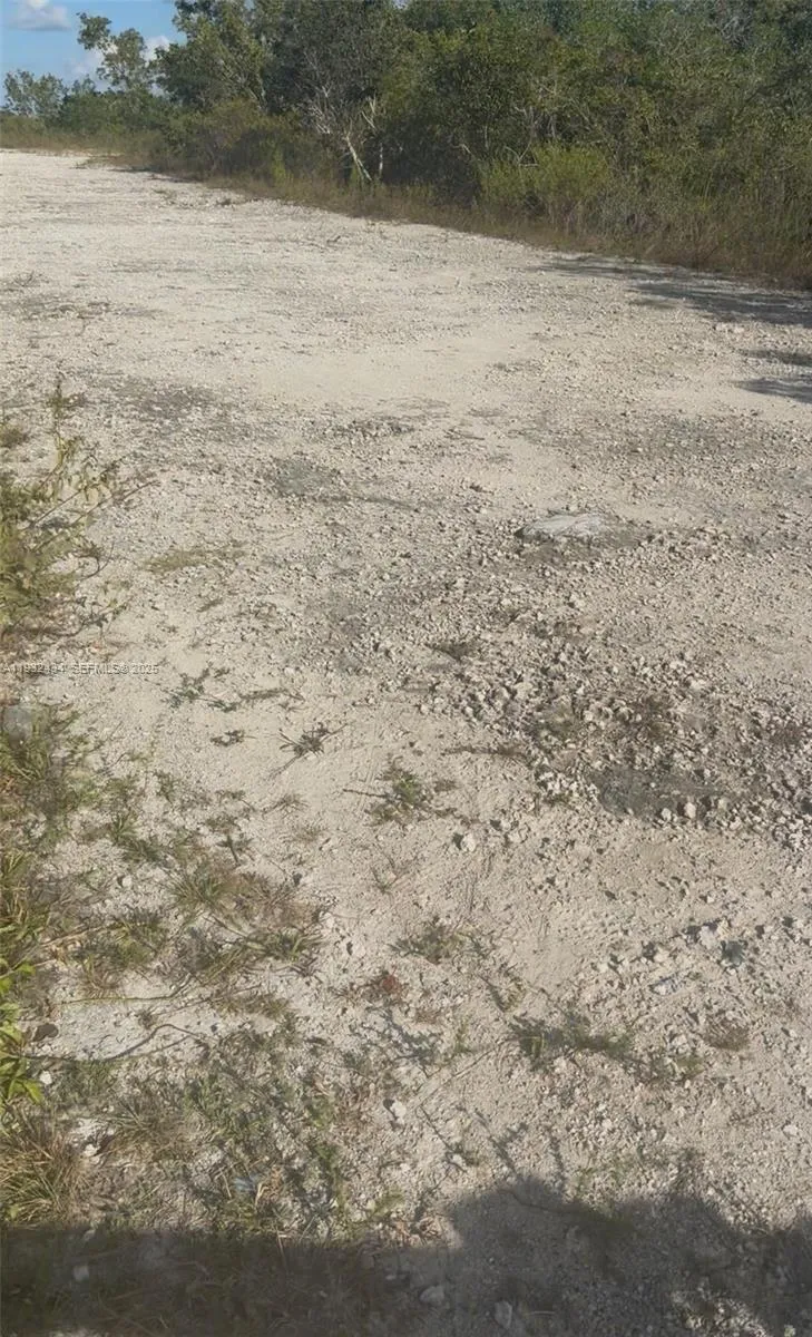 Unincorporated, Homestead, Florida 33035, Homestead, Florida 33035, ,Land,For Sale,Unincorporated, Homestead, Florida 33035,A11932434