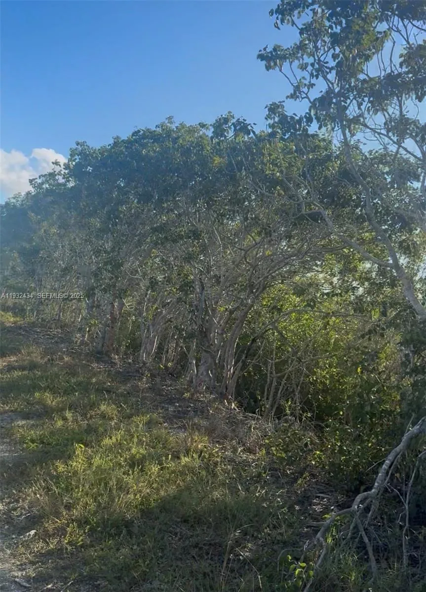 Unincorporated, Homestead, Florida 33035, Homestead, Florida 33035, ,Land,For Sale,Unincorporated, Homestead, Florida 33035,A11932434