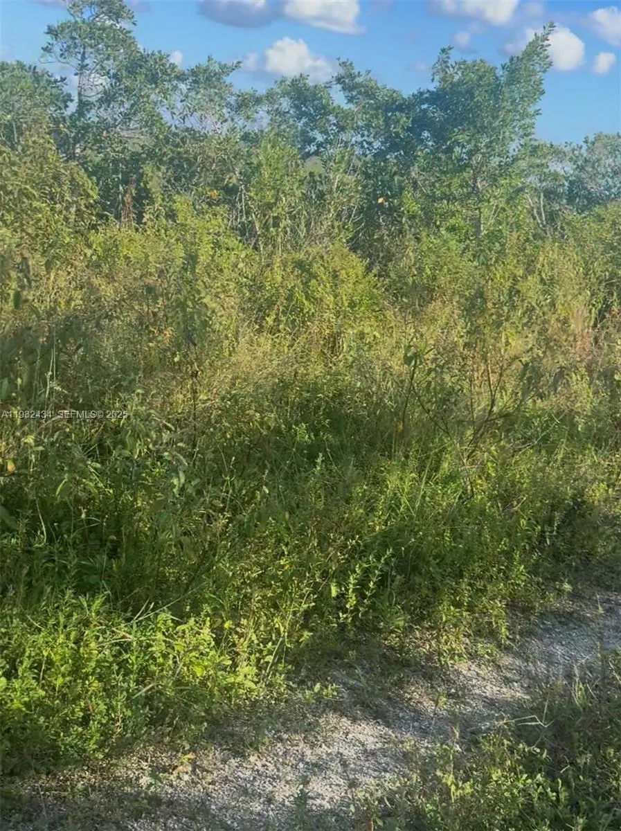 Unincorporated, Homestead, Florida 33035, Homestead, Florida 33035, ,Land,For Sale,Unincorporated, Homestead, Florida 33035,A11932434