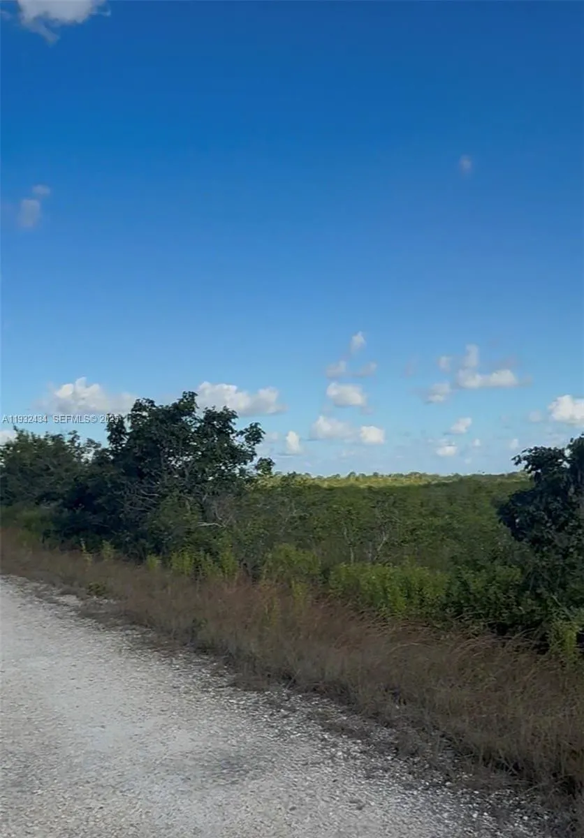 Unincorporated, Homestead, Florida 33035, Homestead, Florida 33035, ,Land,For Sale,Unincorporated, Homestead, Florida 33035,A11932434