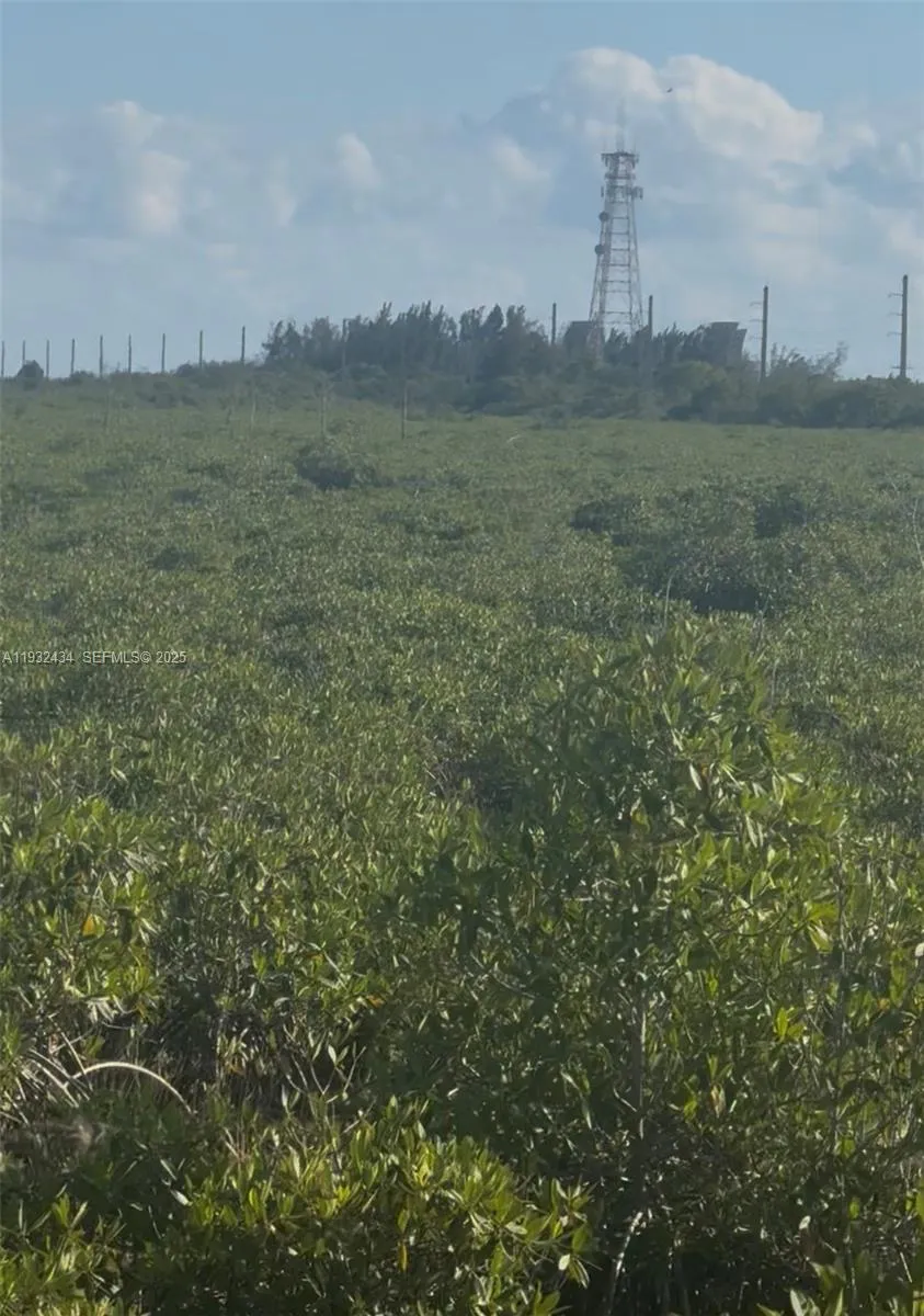Unincorporated, Homestead, Florida 33035, Homestead, Florida 33035, ,Land,For Sale,Unincorporated, Homestead, Florida 33035,A11932434