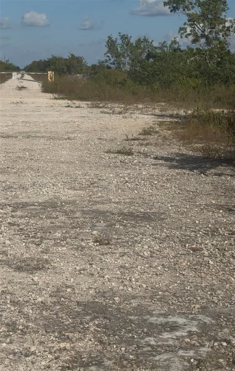 Unincorporated, Homestead, Florida 33035, Homestead, Florida 33035, ,Land,For Sale,Unincorporated, Homestead, Florida 33035,A11932434