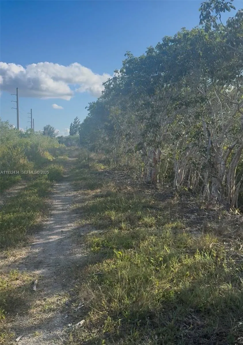 Unincorporated, Homestead, Florida 33035, Homestead, Florida 33035, ,Land,For Sale,Unincorporated, Homestead, Florida 33035,A11932434
